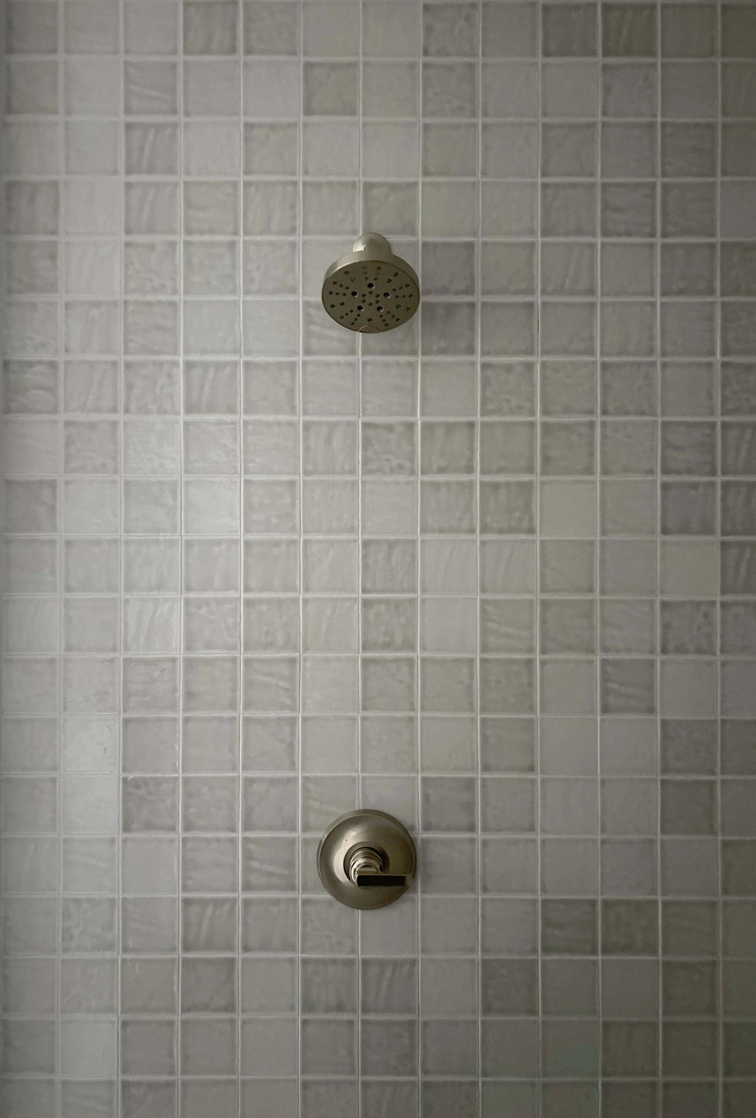 mastershower2.jpg