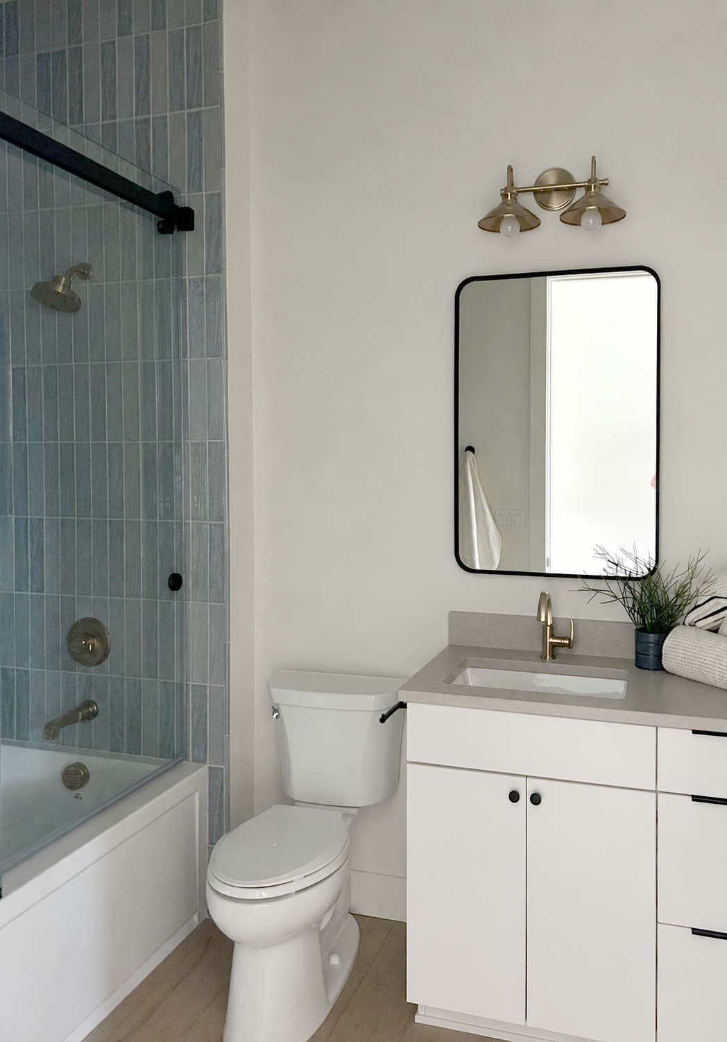 Bathroom wall cleared above toilet.png