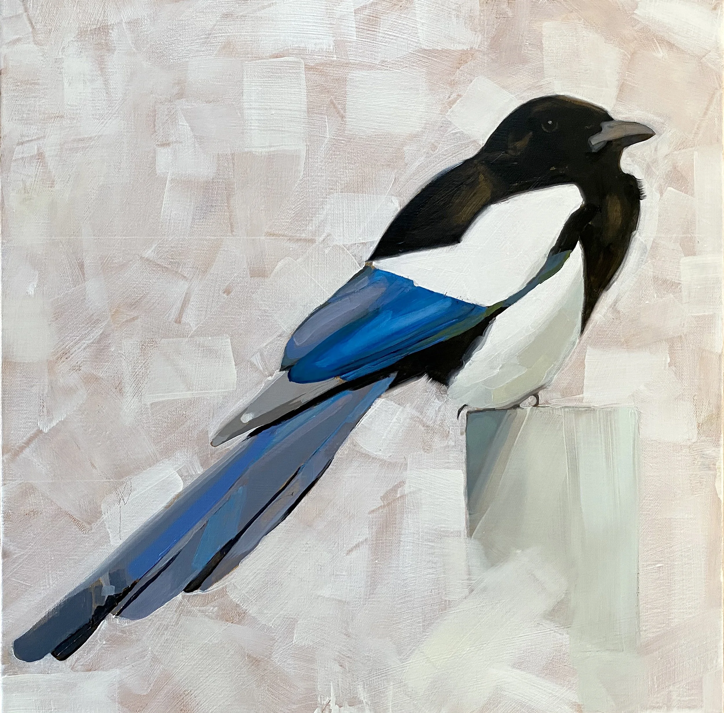 MAGPIE.jpg