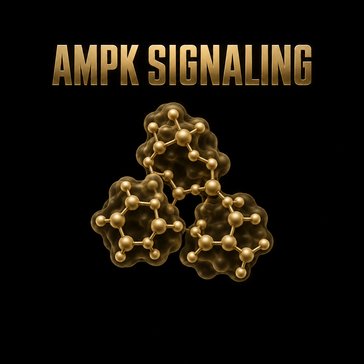 Graphic of molecular structures with the text "AMPK Signaling" above.