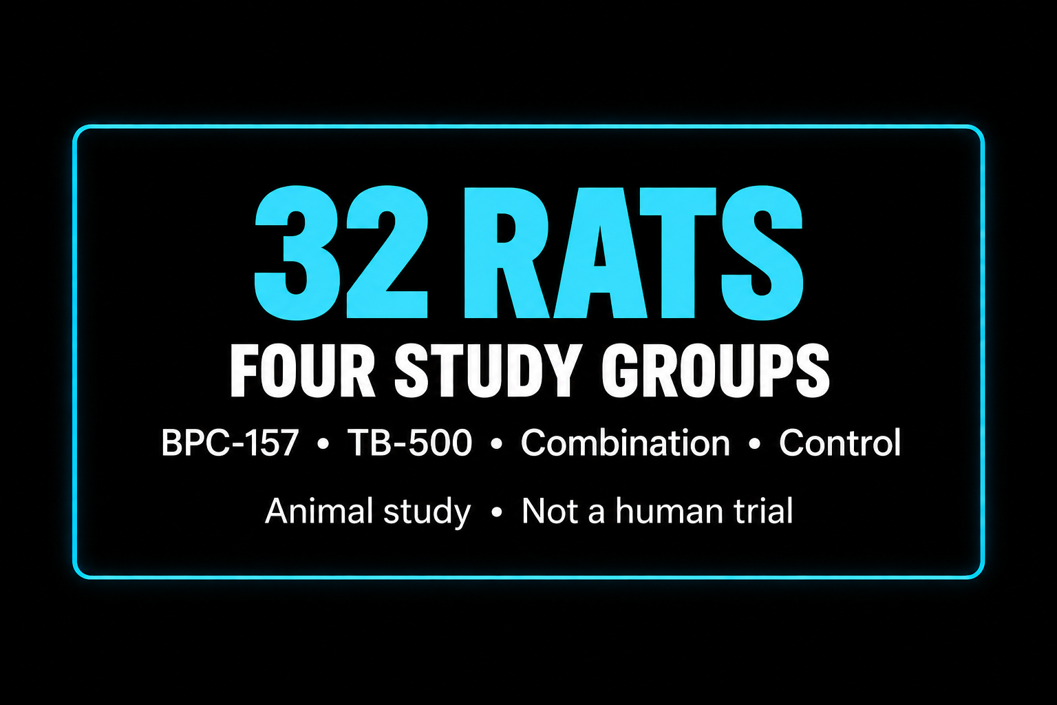 Neon sign reading '32 RATS Four Study Groups' with additional text about a scientific study, indicating it involves animal testing and is not a human trial.
