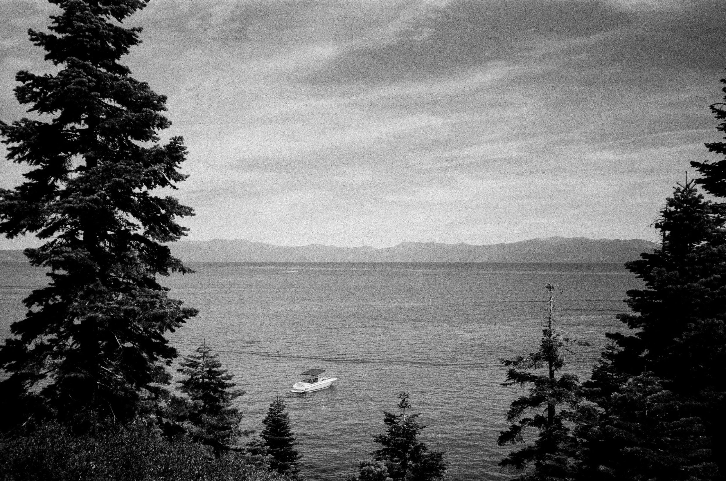 Black and white film photo of Lake Tahoe framed by tall pines on the left and right, a boat on the water below