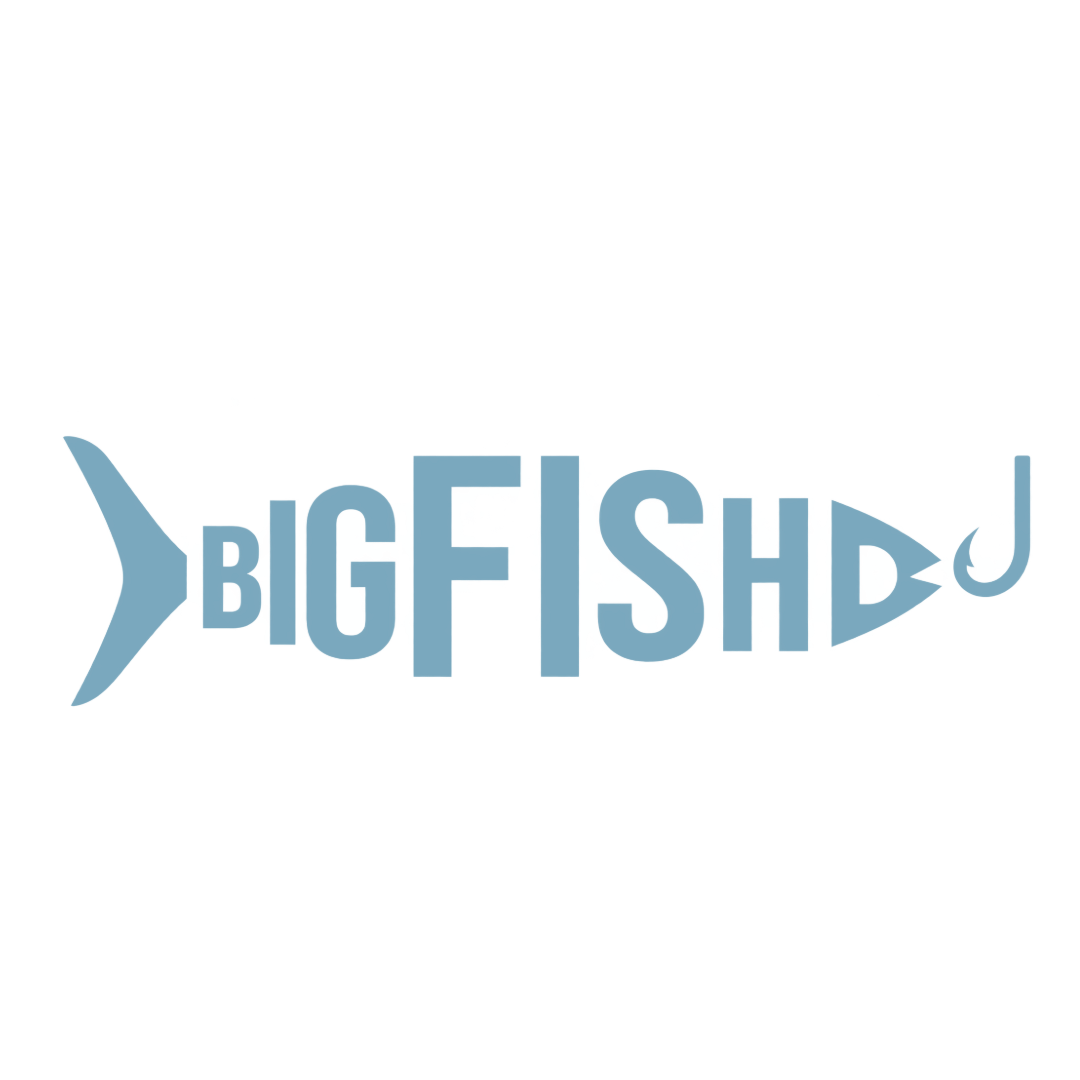 bigfish_lightblue_logo.png