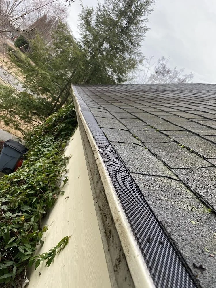 Close-up of a shingle roof with a gutter guard, overgrown vines, and trees beside a house