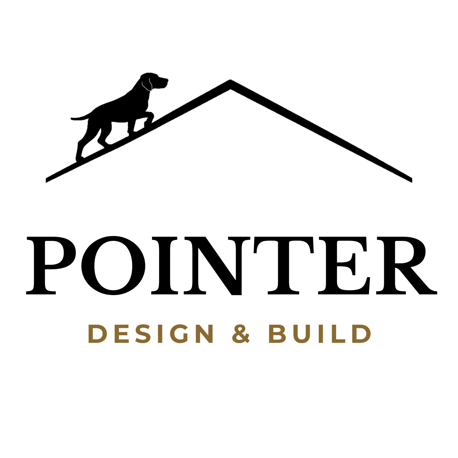 Pointer Design &amp; Build