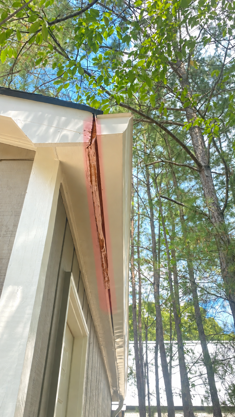 White house exterior with damaged roof trim beneath leafy trees
