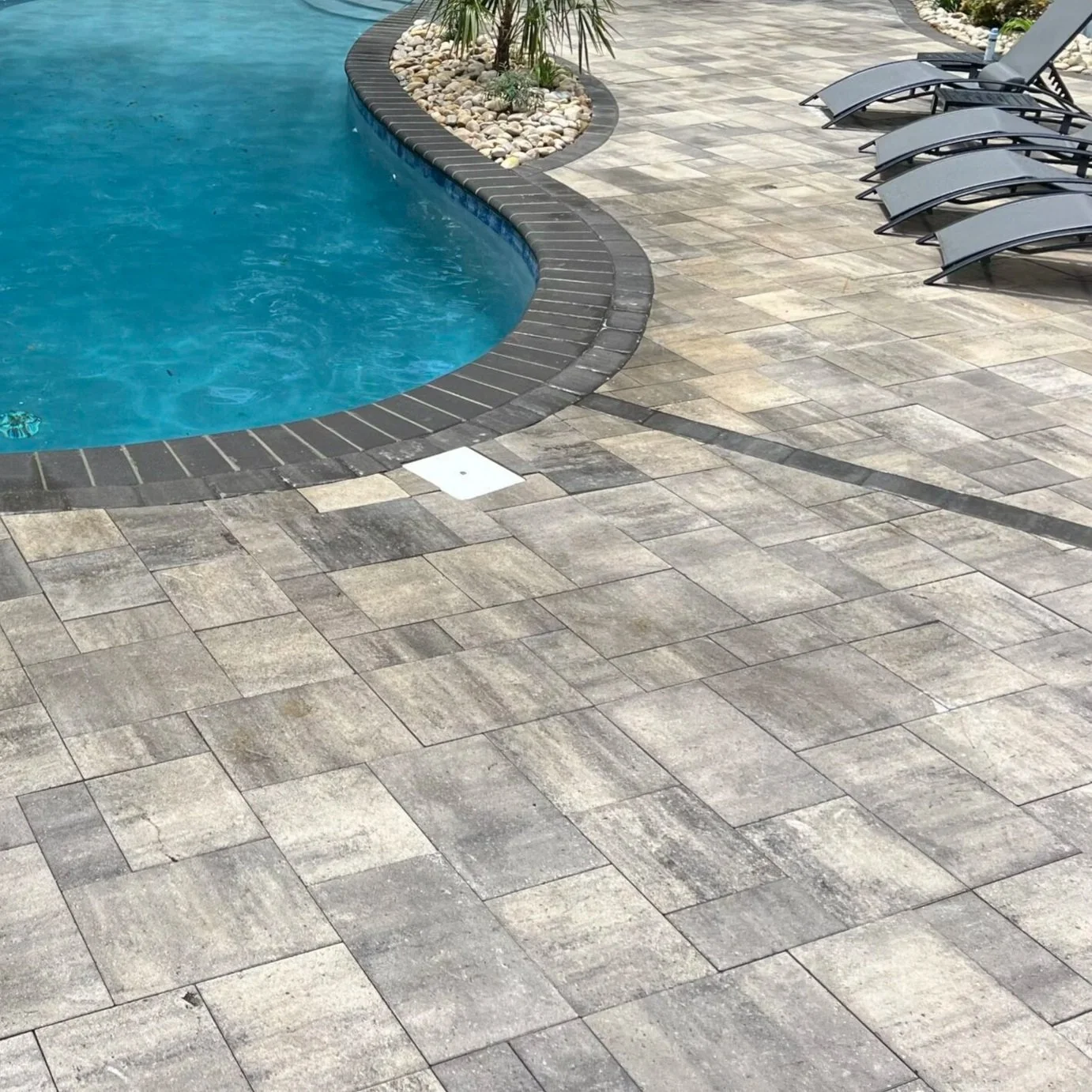 Curved backyard swimming pool with stone patio, decorative landscaping, and gray lounge chairs
