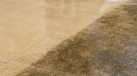 Close-up of a stained beige carpet beside a concrete sidewalk