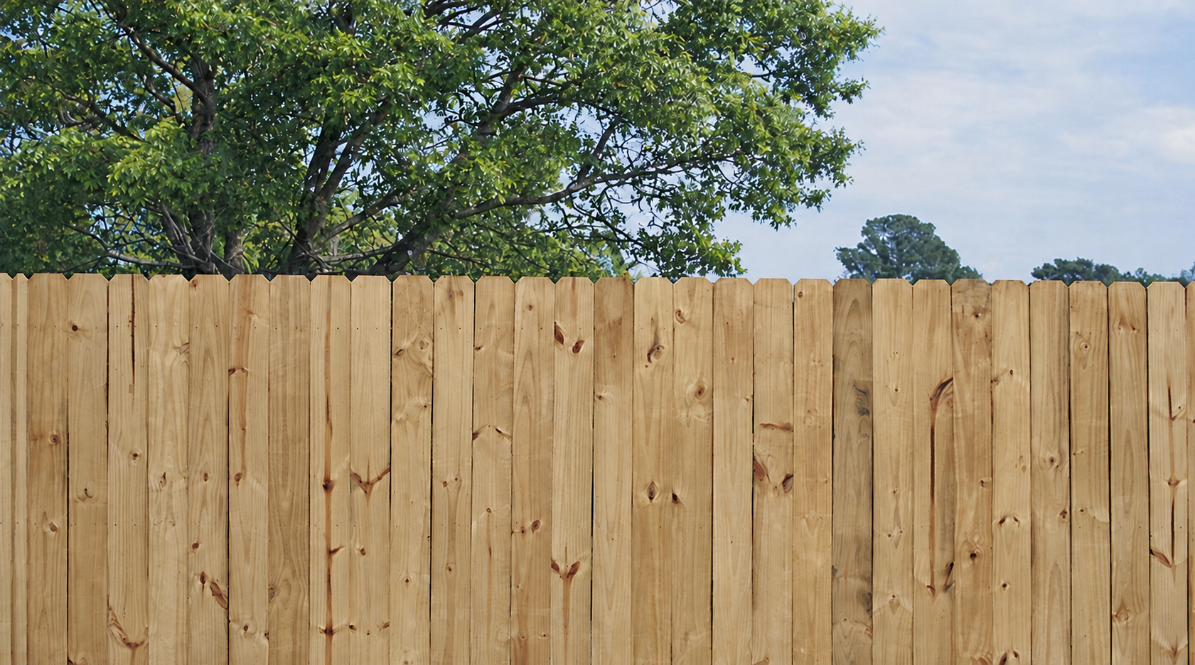 Natural wood privacy fence with leafy trees and blue sky in the background