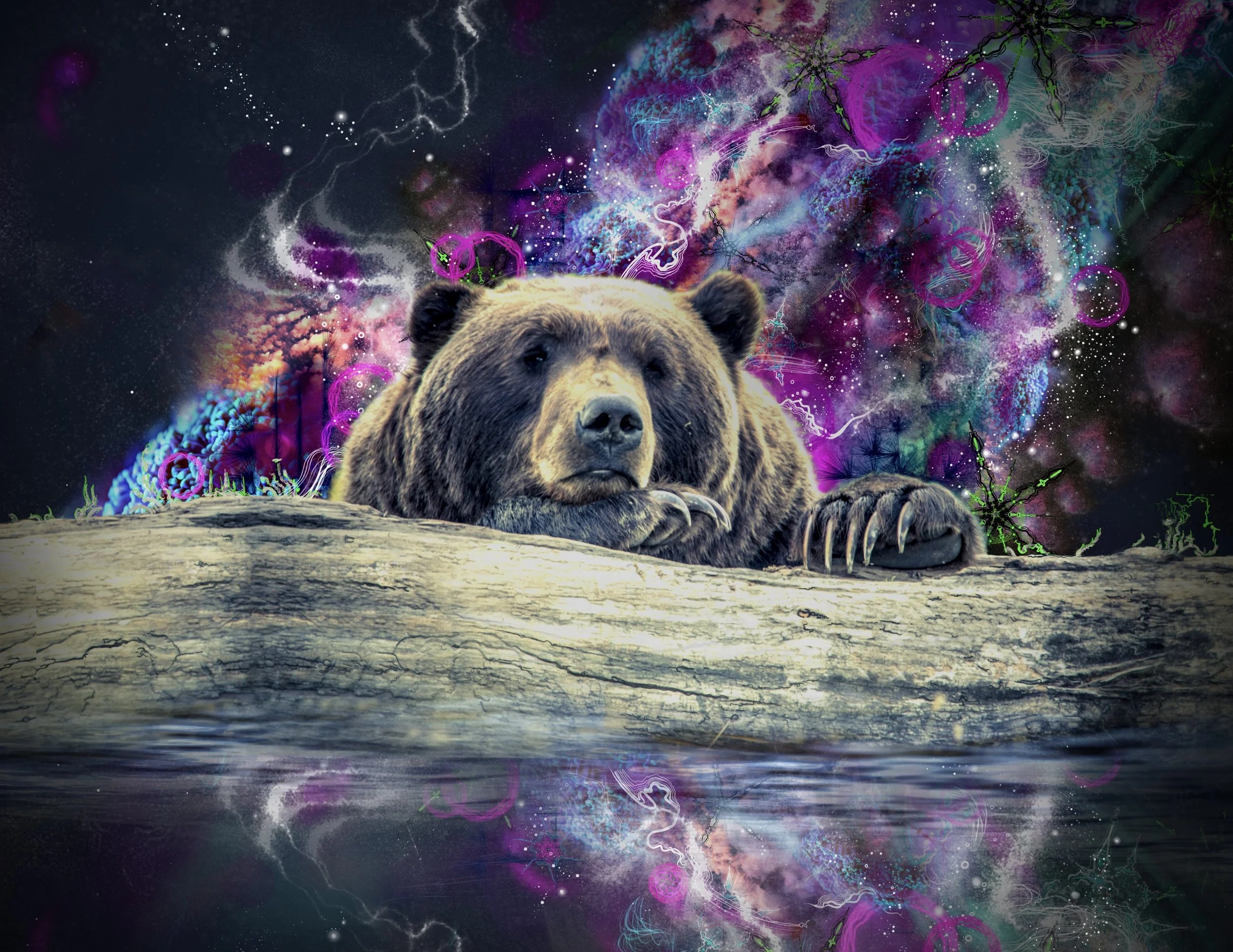 The Wondering Bear. Digital Print