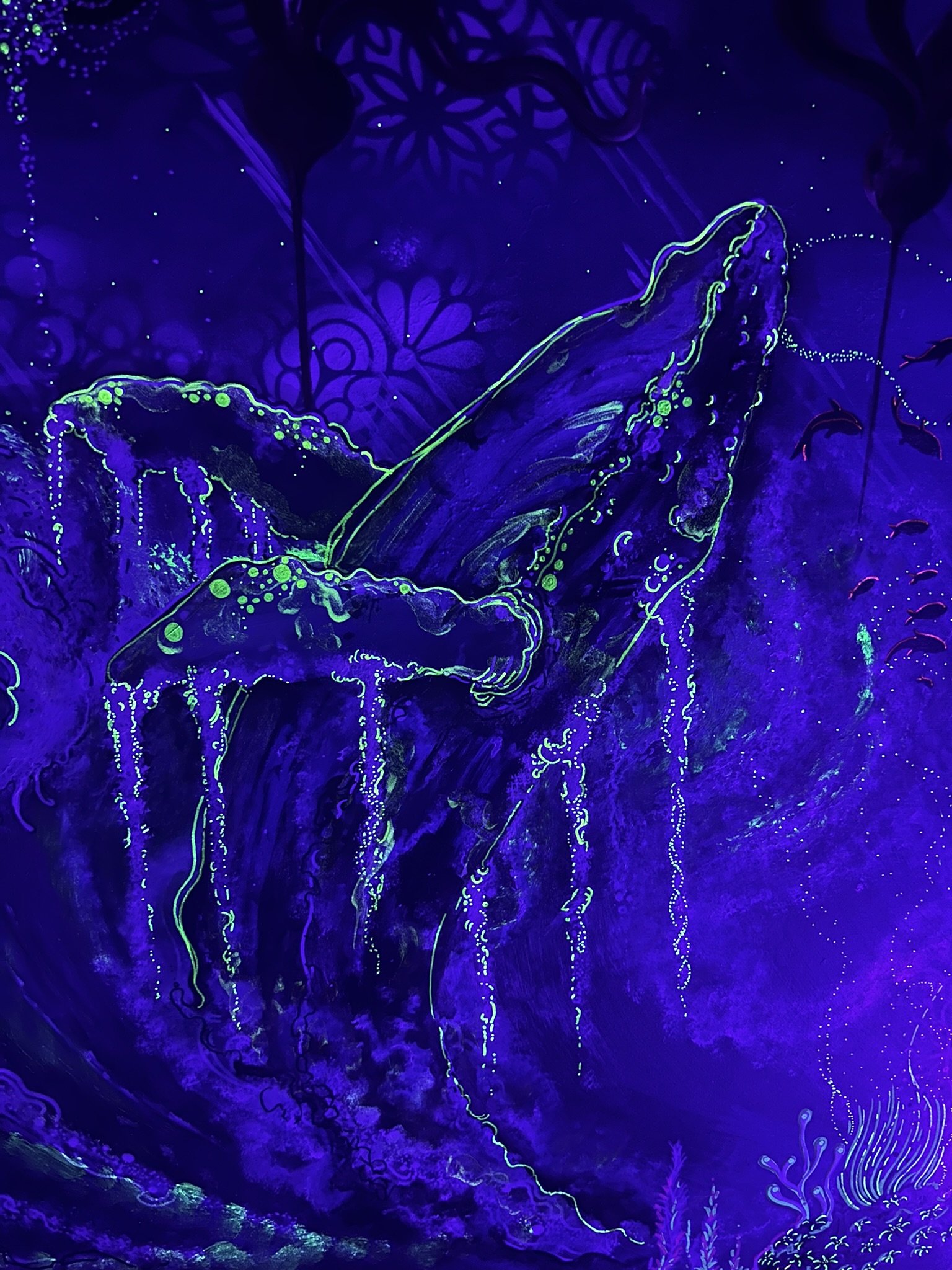 UV Whale close up.
SOLD