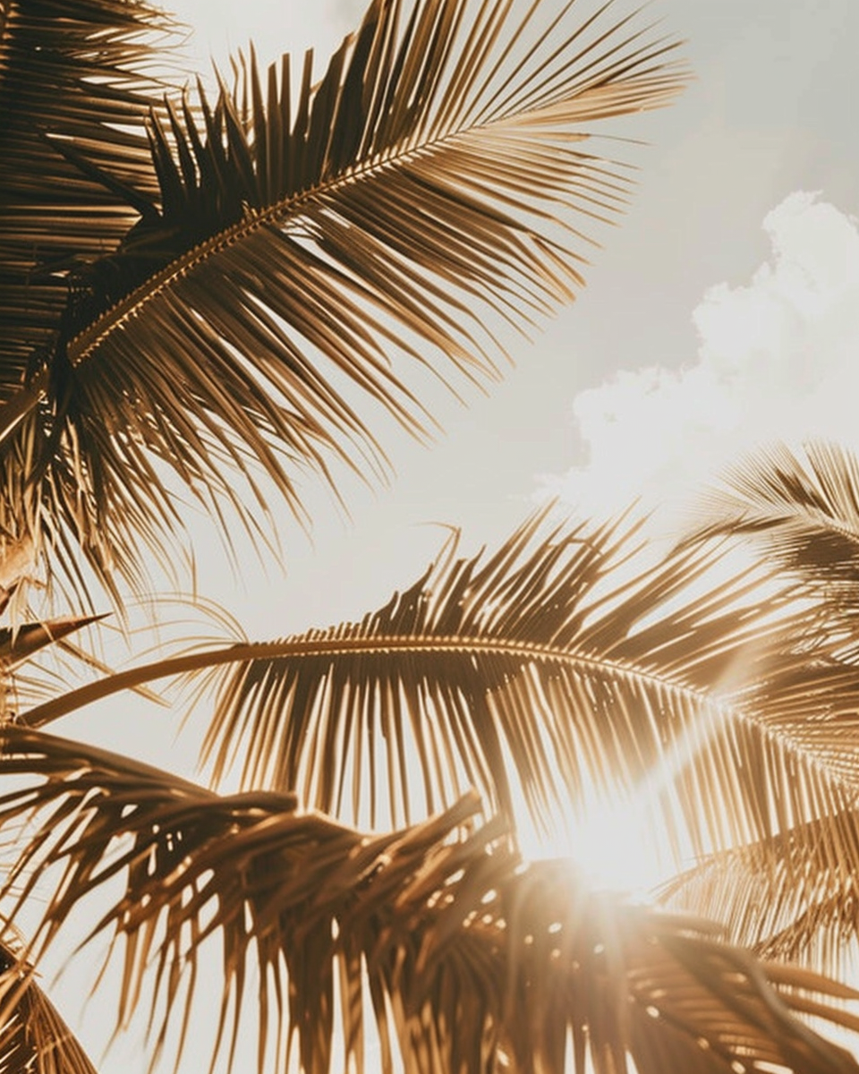 Sunset shining through palm fronds against a partly cloudy sky.