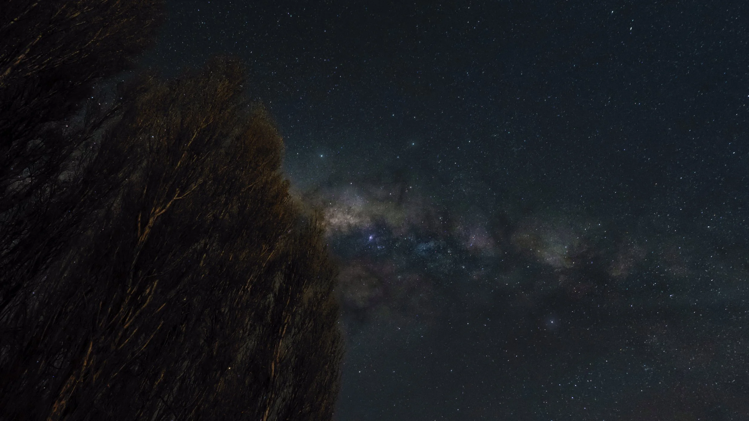 Night sky filled with stars, with trees on the left side of the image.