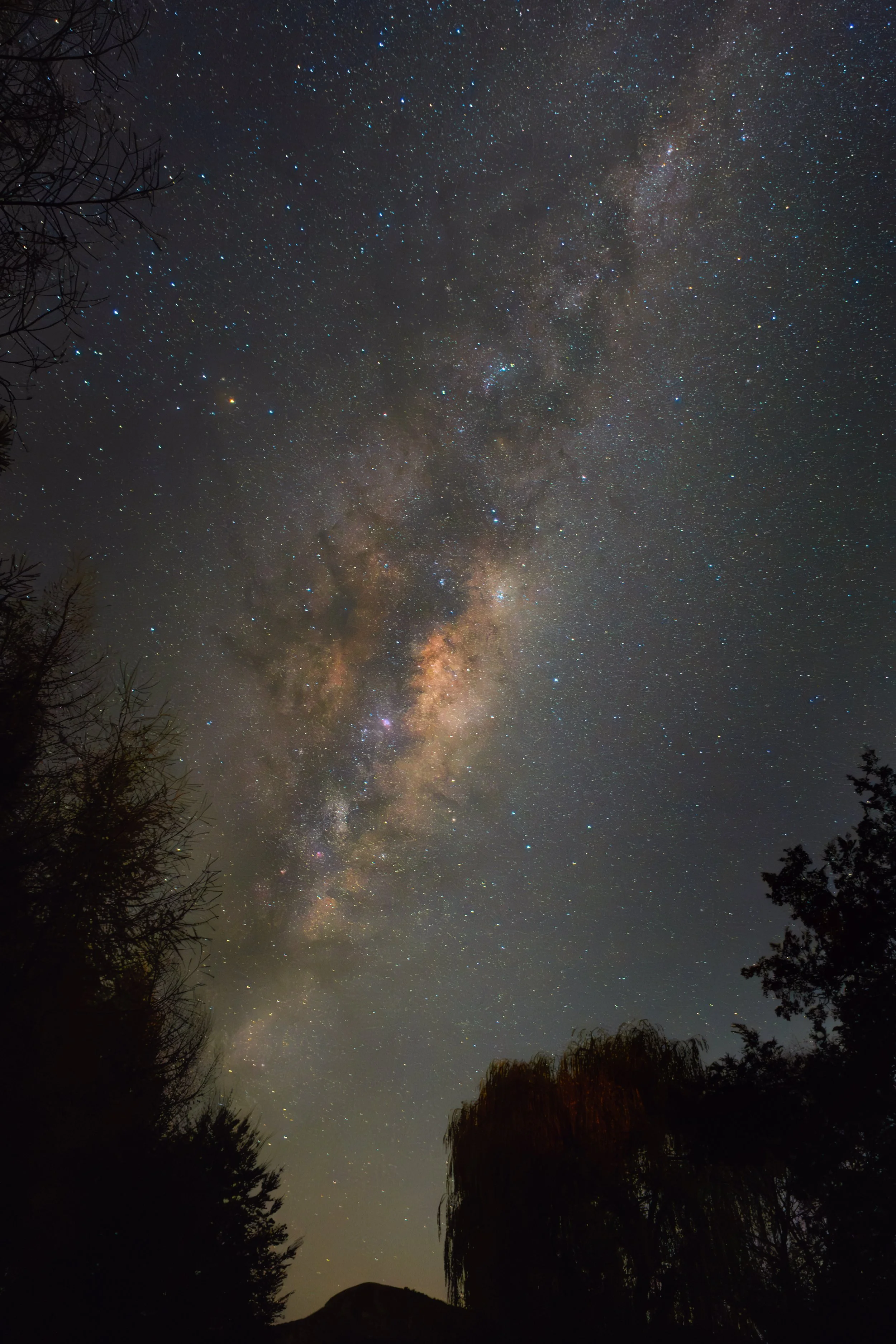 Night sky filled with stars and the Milky Way galaxy, with trees and a mountain silhouette in the foreground.