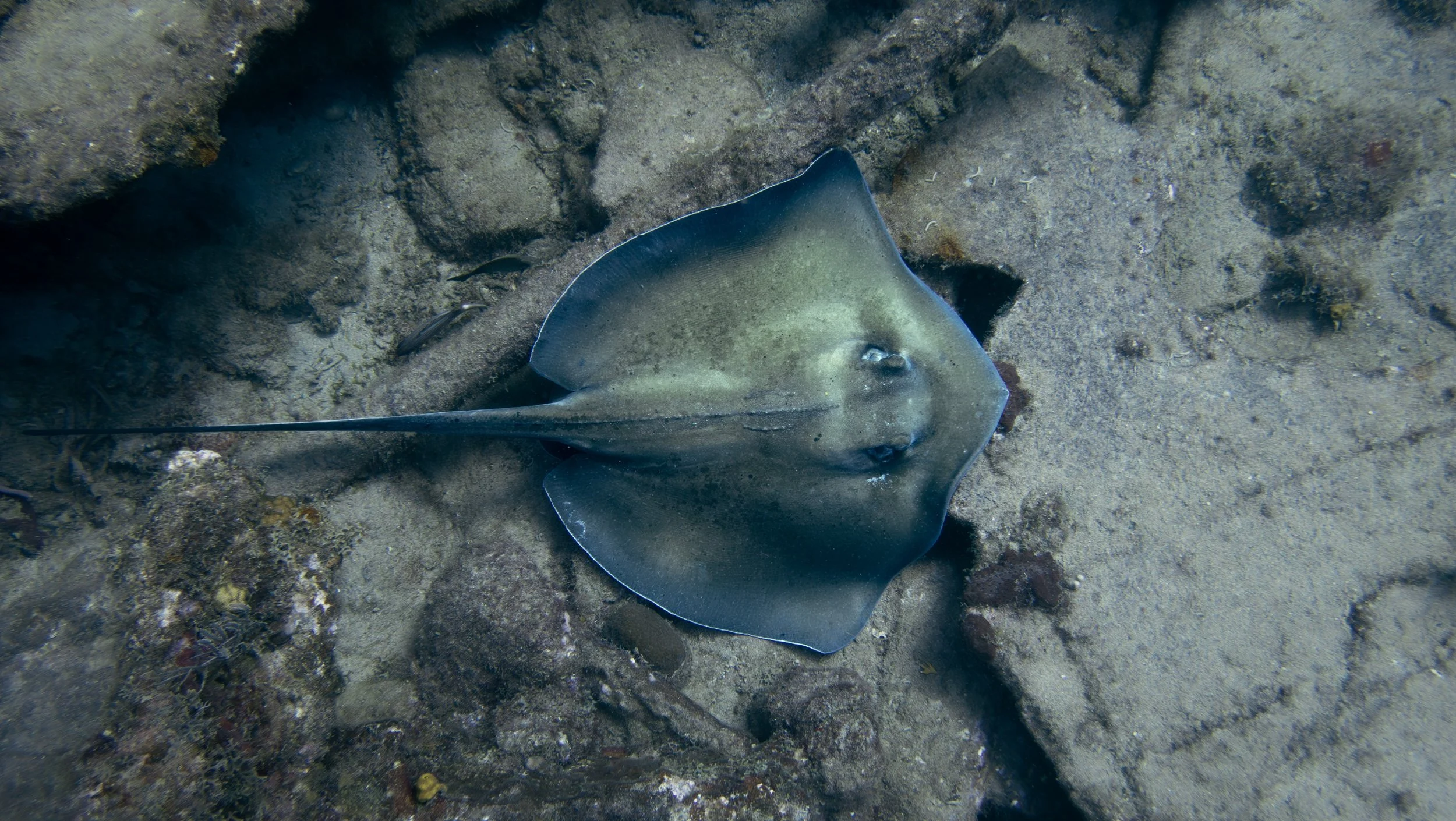 PB140306_1.jpg