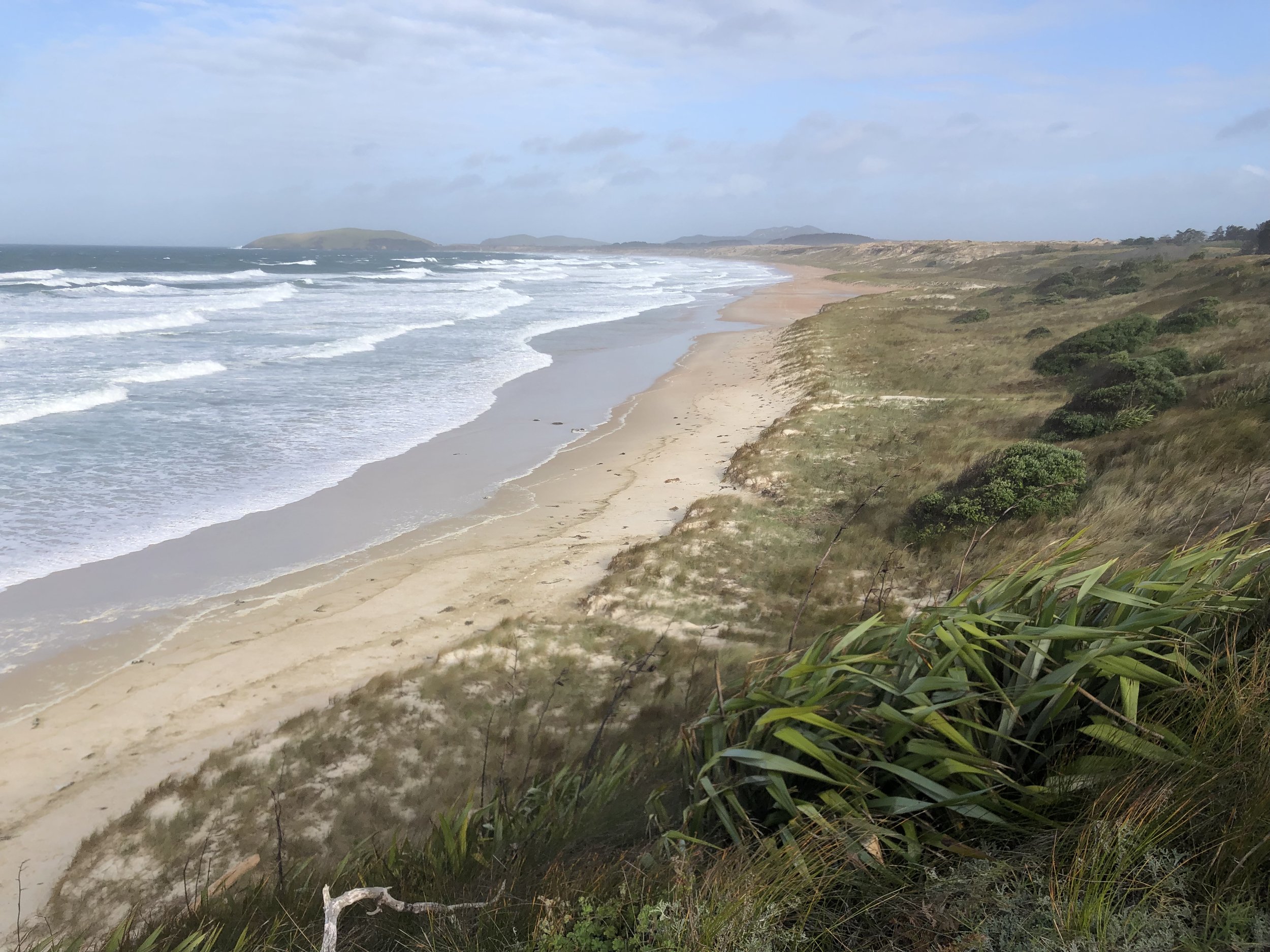 A view of a sandy beach with waves hitting the shore, grassy dunes in the foreground, and distant hills under a partly cloudy sky.
