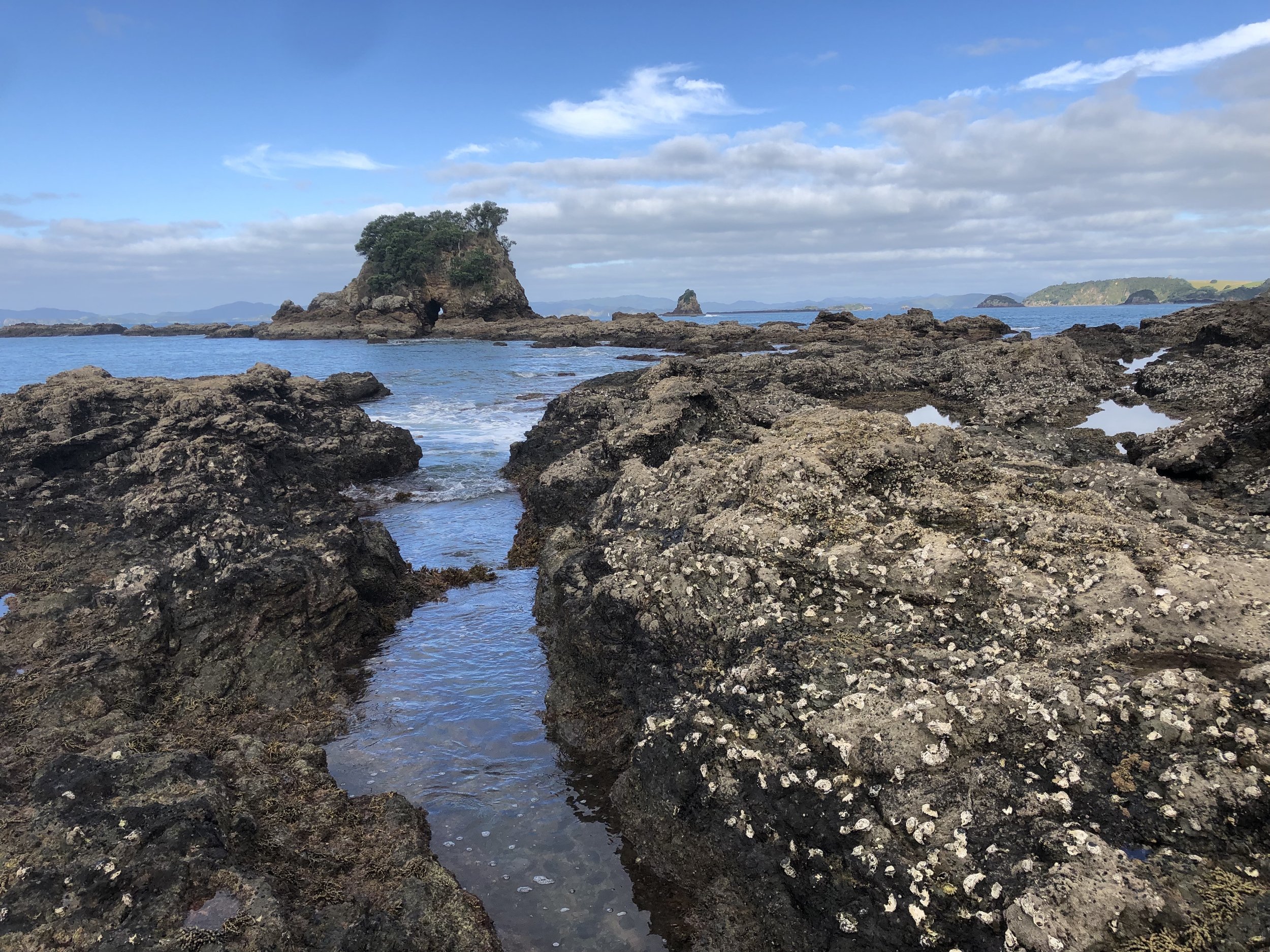 A rocky shoreline with tide pools and a large rocky island with a hole and trees in the background, under a partly cloudy sky.