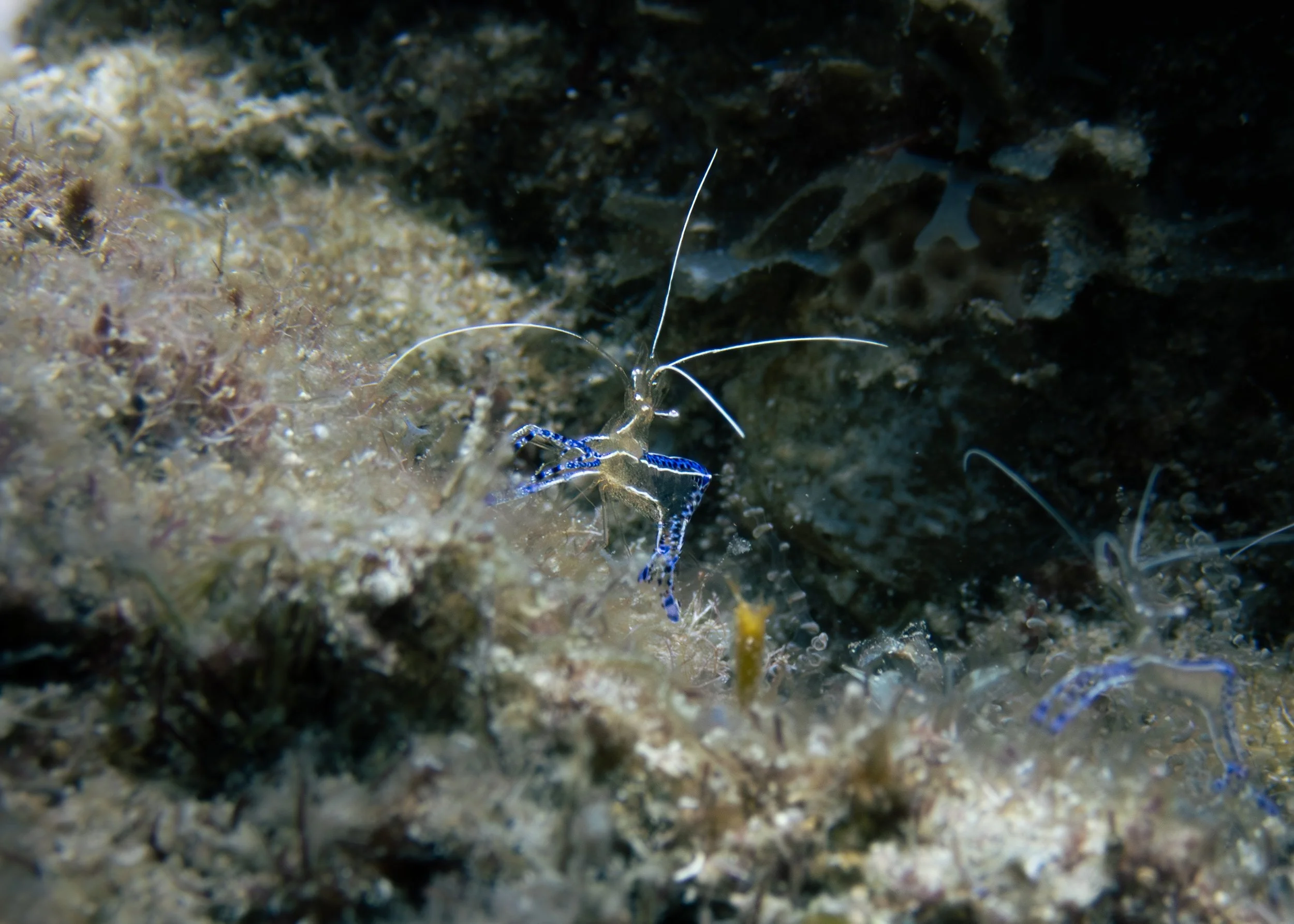 PB150370.jpg