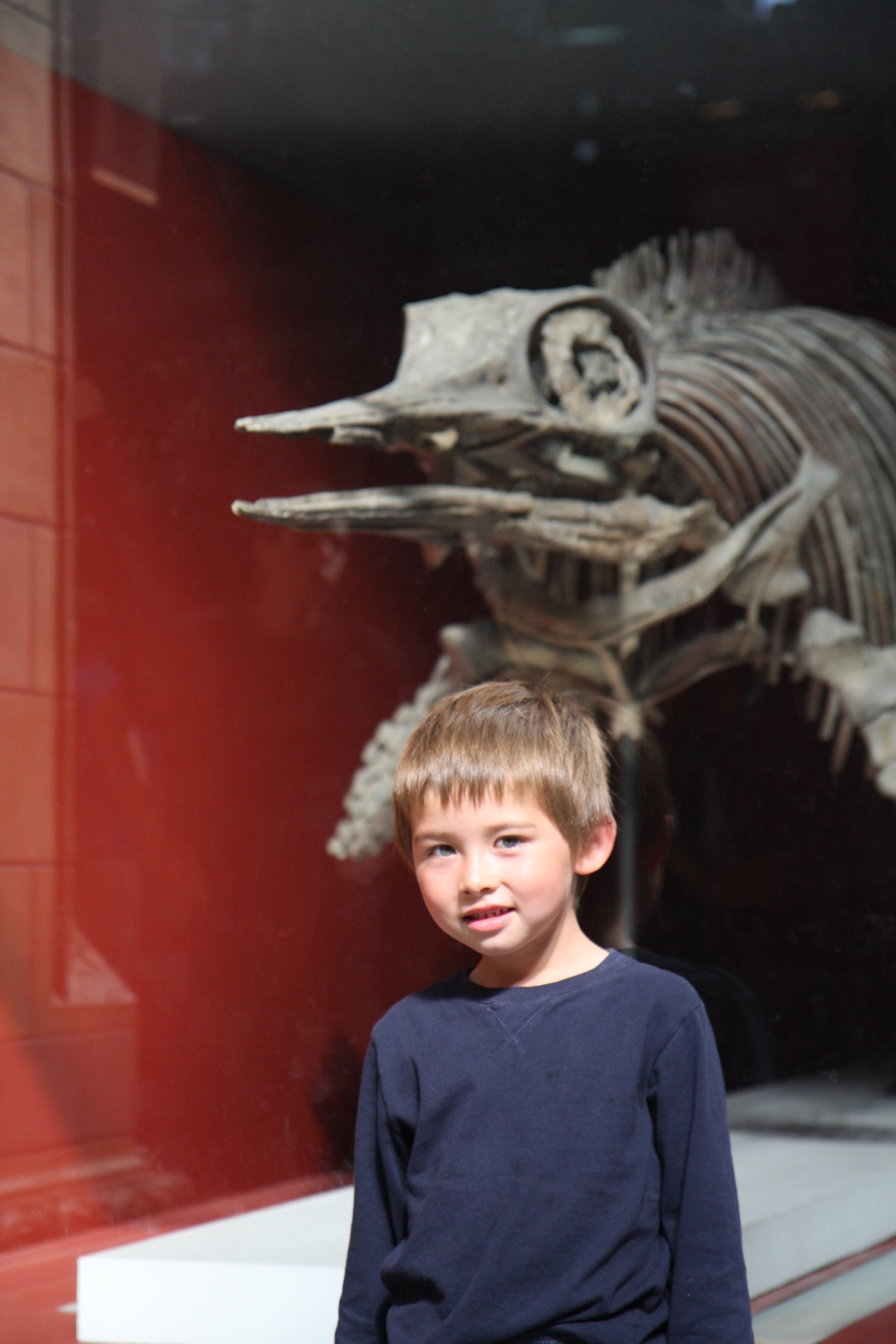 Young boy with light brown hair and wearing a navy blue long-sleeve shirt, standing in front of a dinosaur skeleton in a museum.