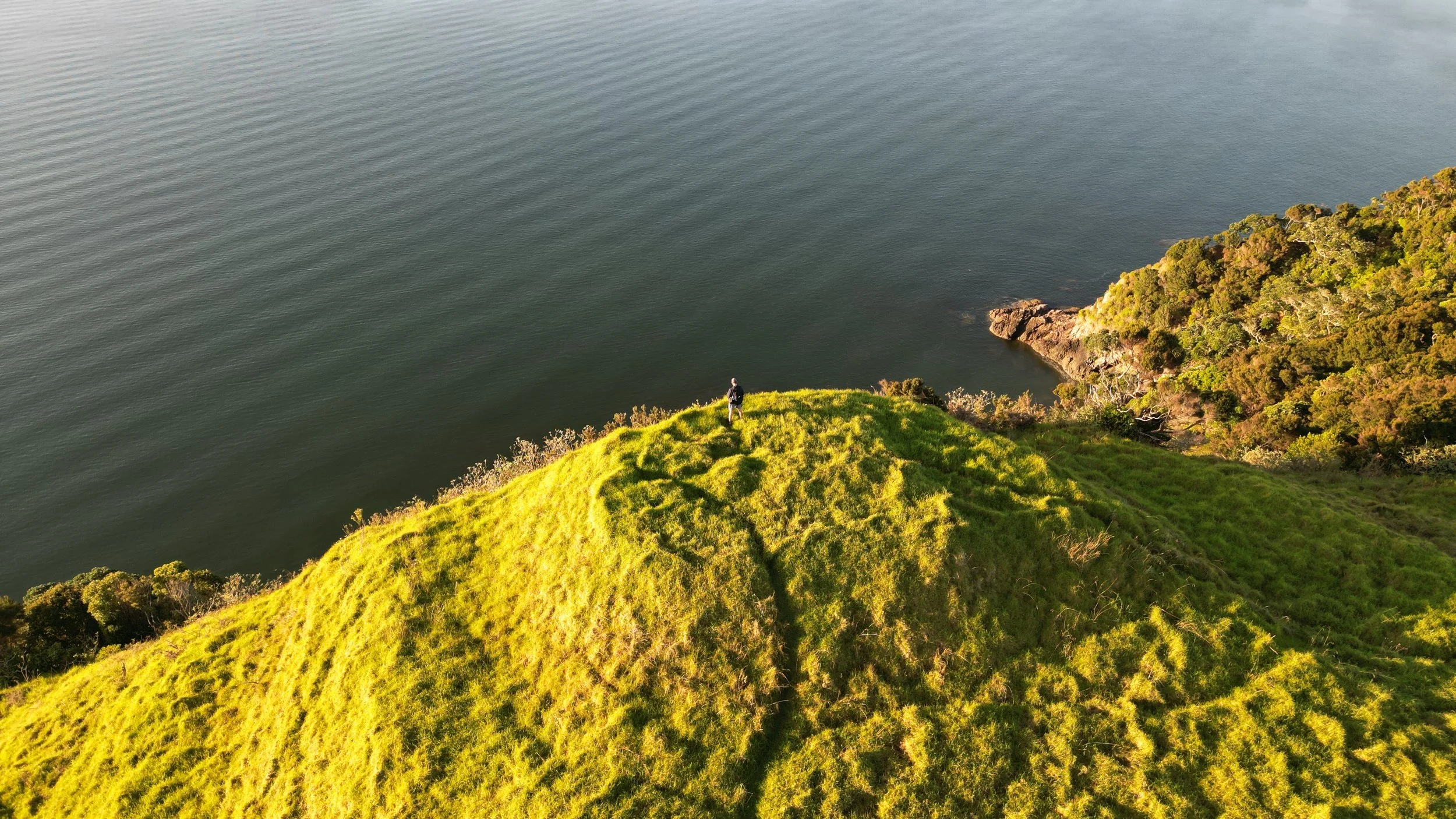 A person standing on a grassy hill next to a body of water with a wooded area nearby.