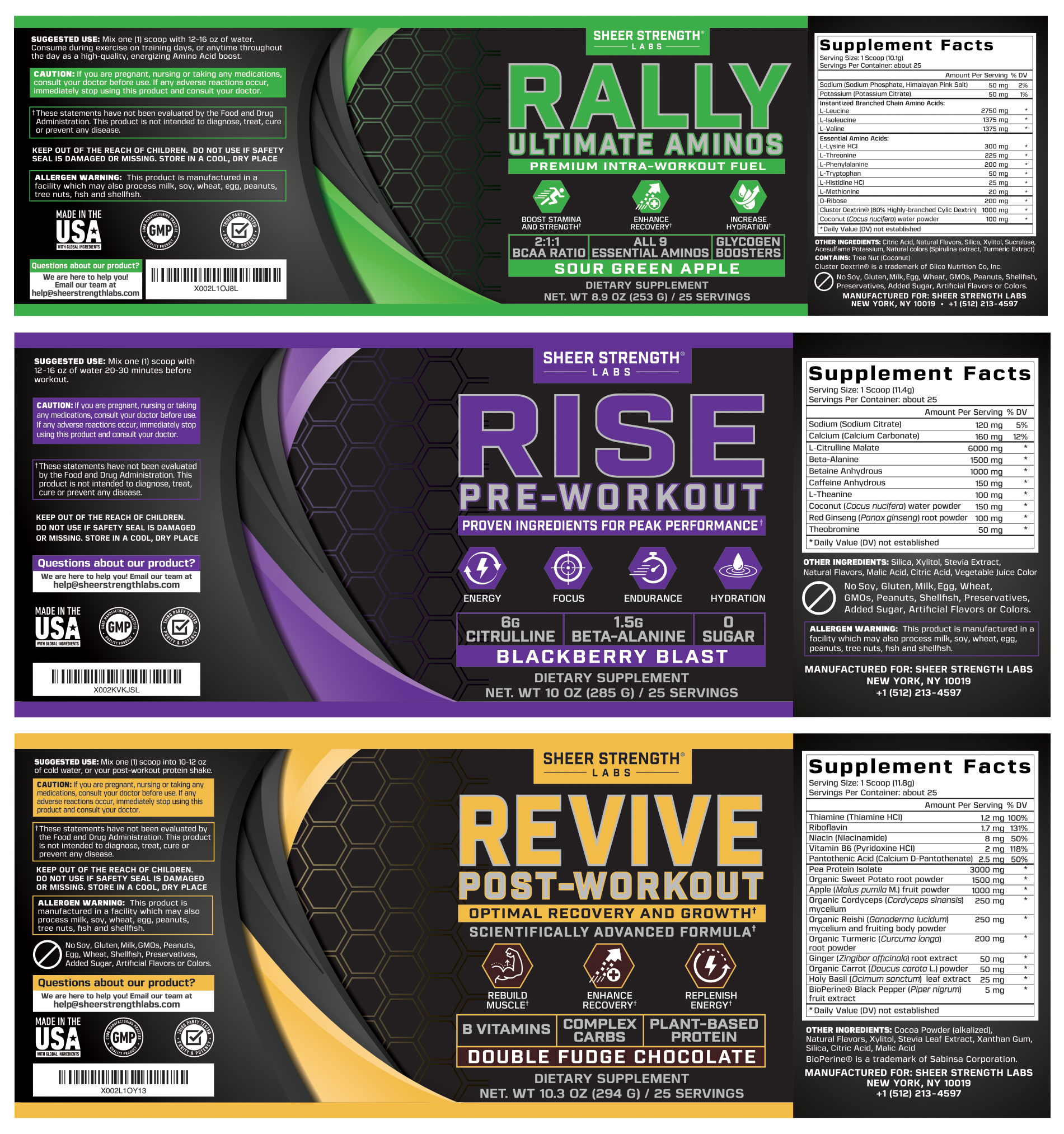 RiseRallyRevive.png