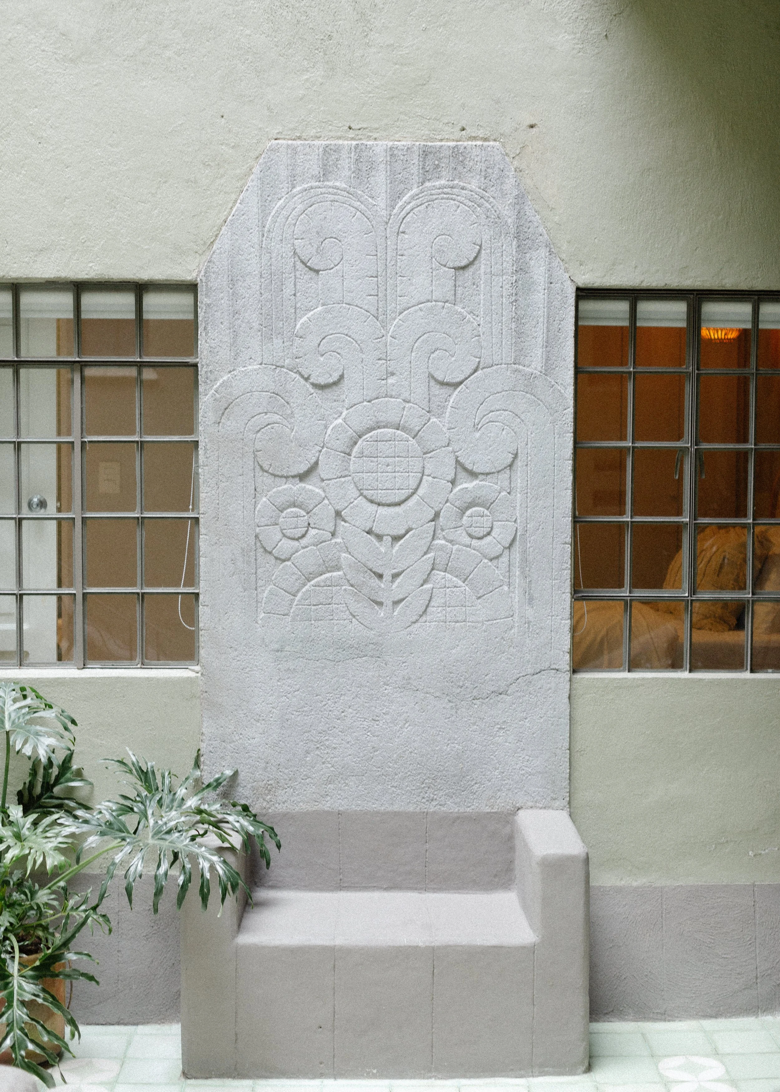 Chihuahua130_depa1 (62 of 63).jpg