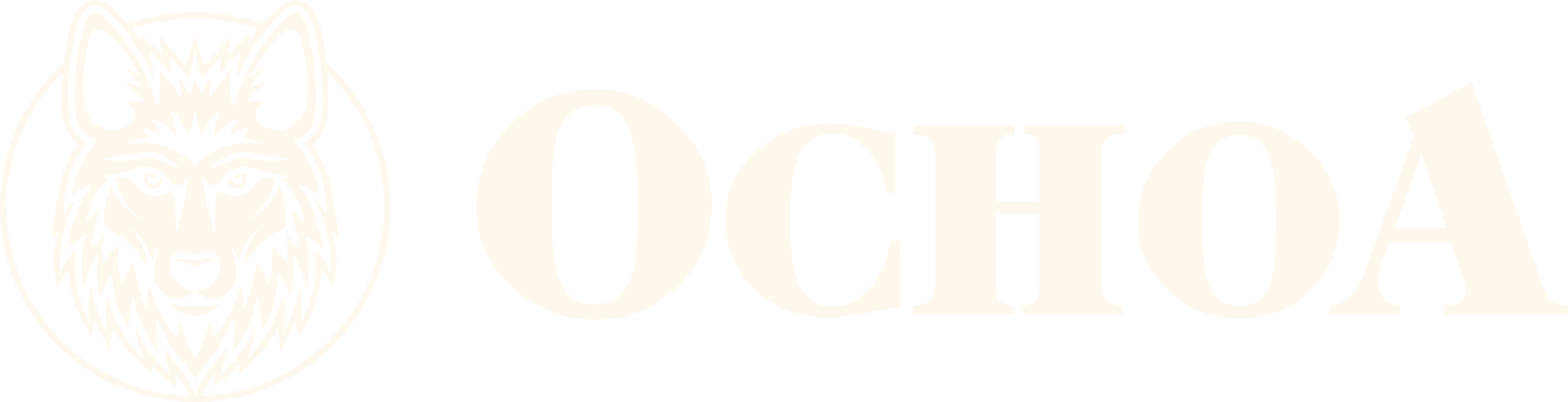 OCHOA MEXICAN GRILL