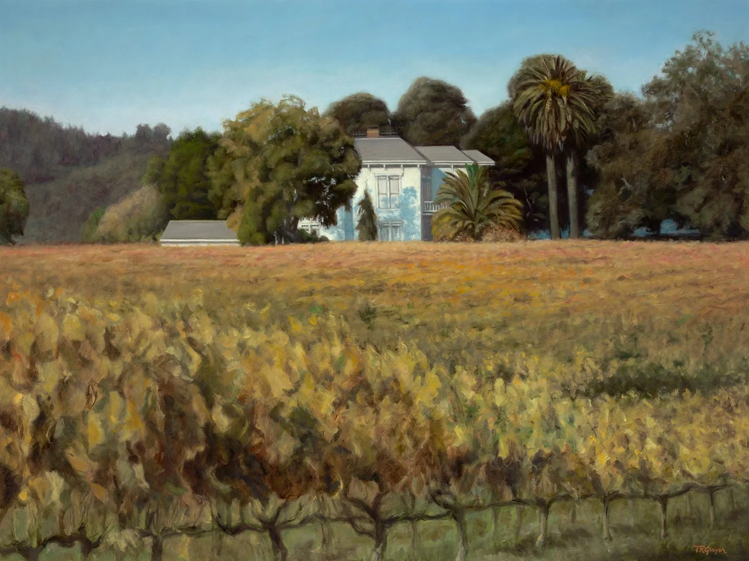ca_vineyard_estate.jpg