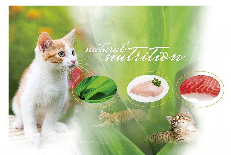 Eukanuba theme board for packaging project