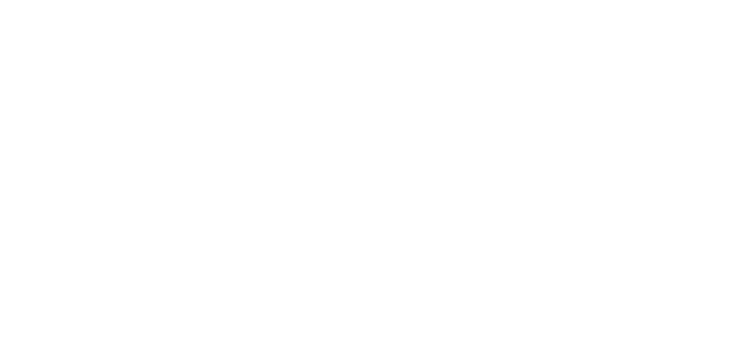 Team Willis