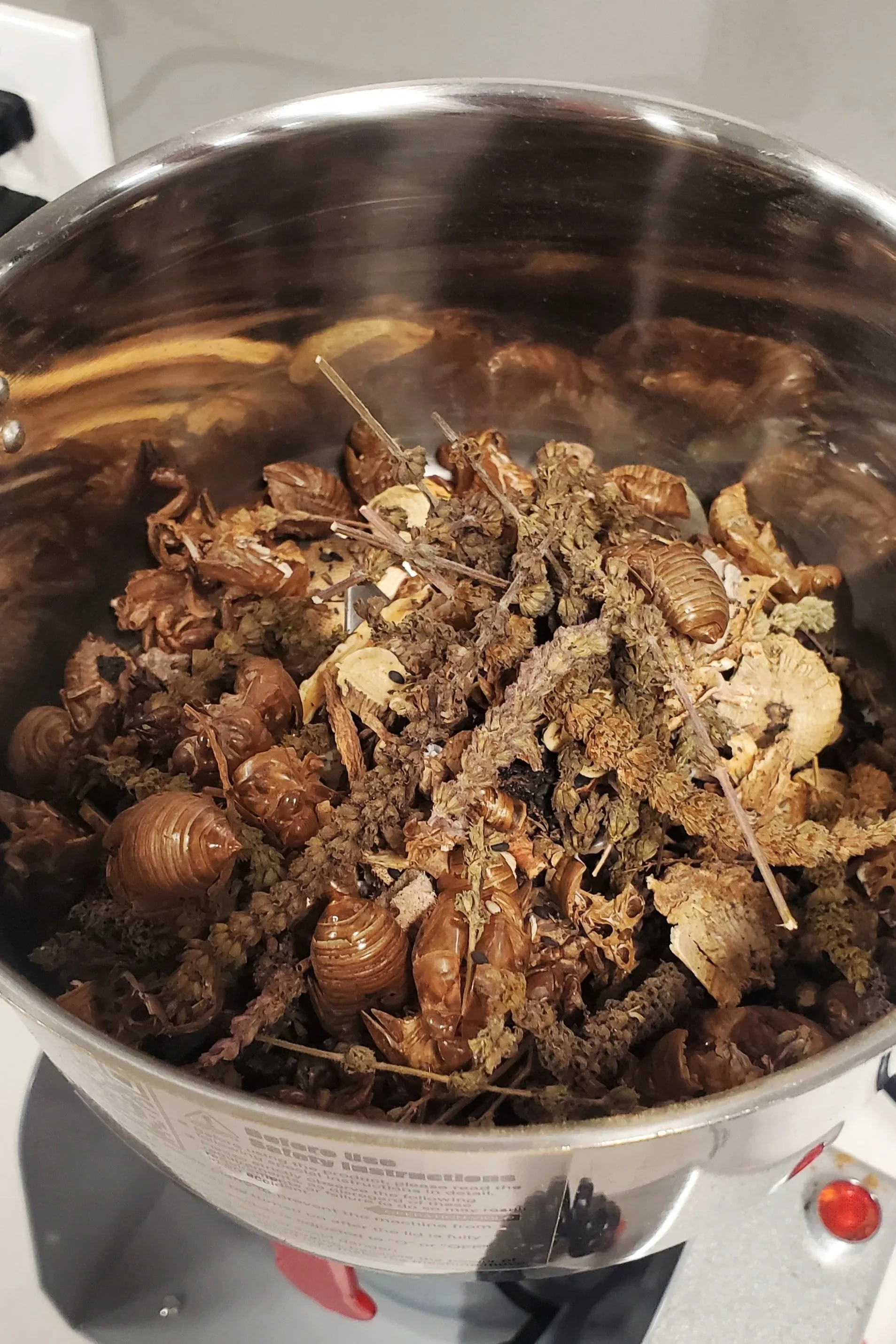 A metal pot on a stove filled with dried insects, including beetles and other bugs.