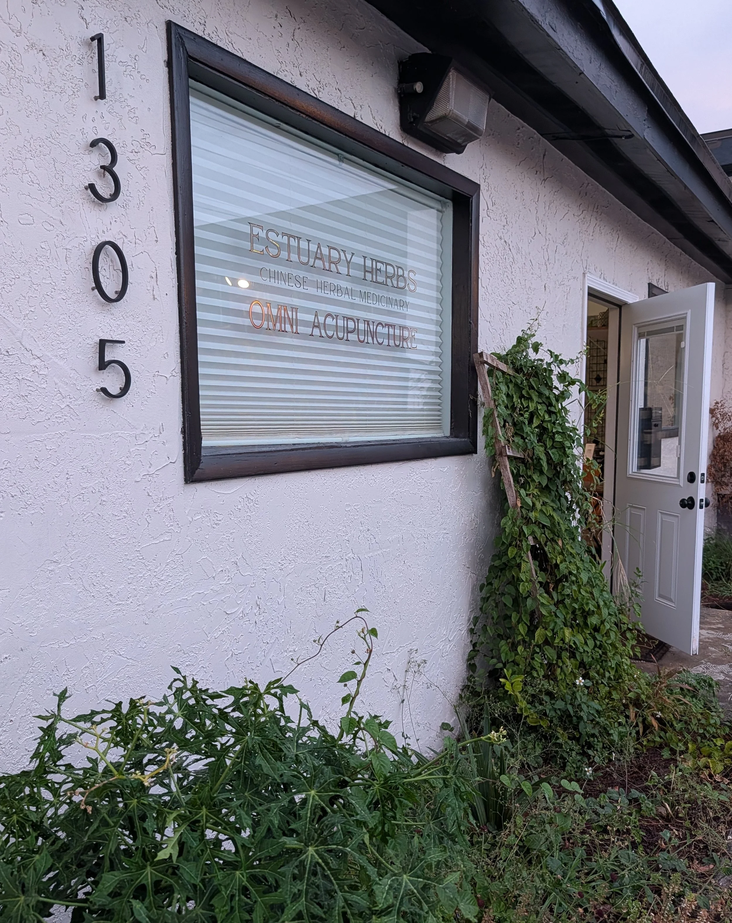 Exterior of a building with textured white walls, black-framed window, and a door open to the outside. The building has the street number 105 displayed vertically on the wall. There is a sign in the window that reads 'ESTUARY HERBS, CHINESE HERBAL MEDICINARY, OMNI ACUPUNCTURE'. A black outdoor light fixture is mounted above the window. Green leafy plants and vines grow alongside the building and partially cover the lower part of the wall and window.