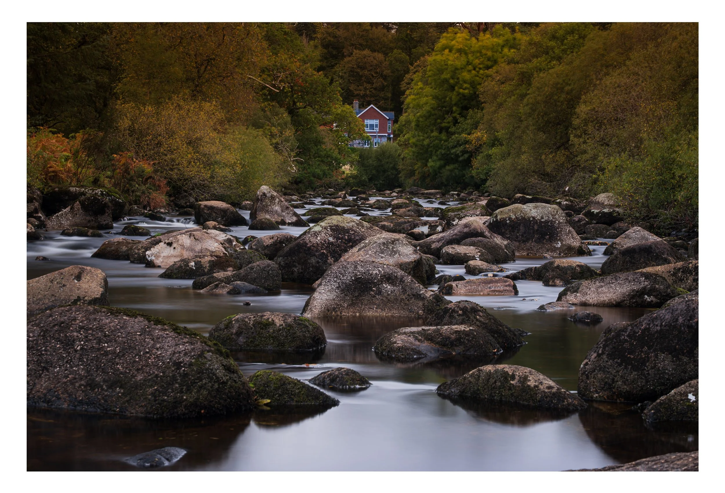 cottage at dartmeet.jpg