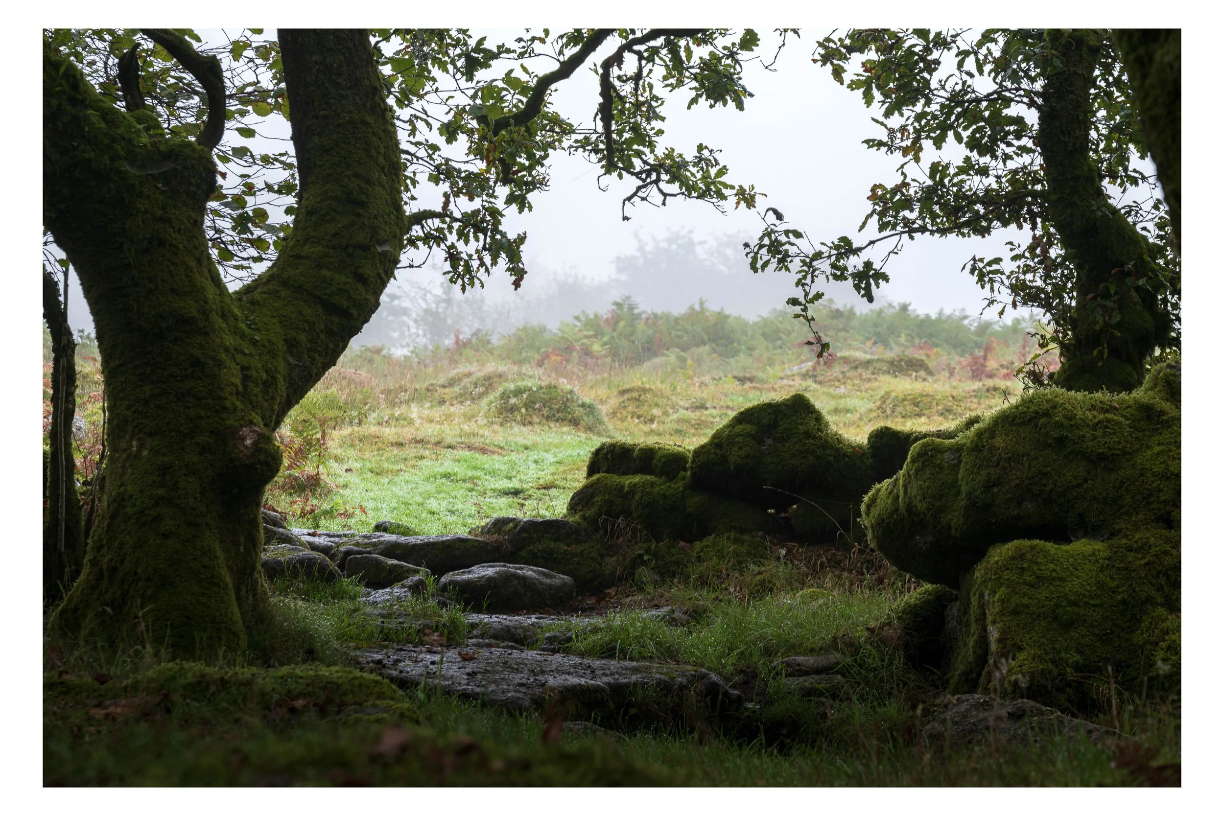 DSCF2620.jpg
