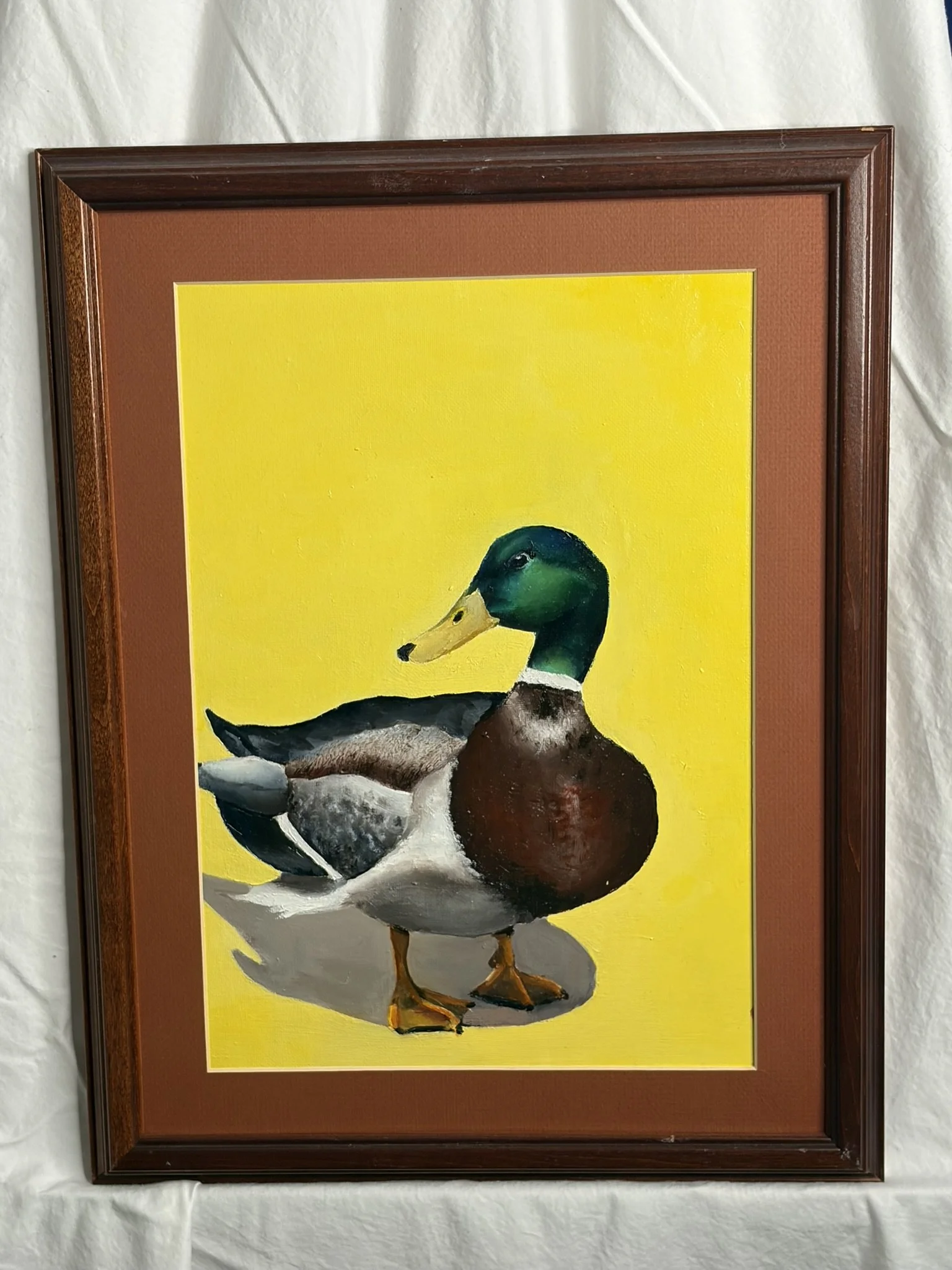 Mallard.jpeg