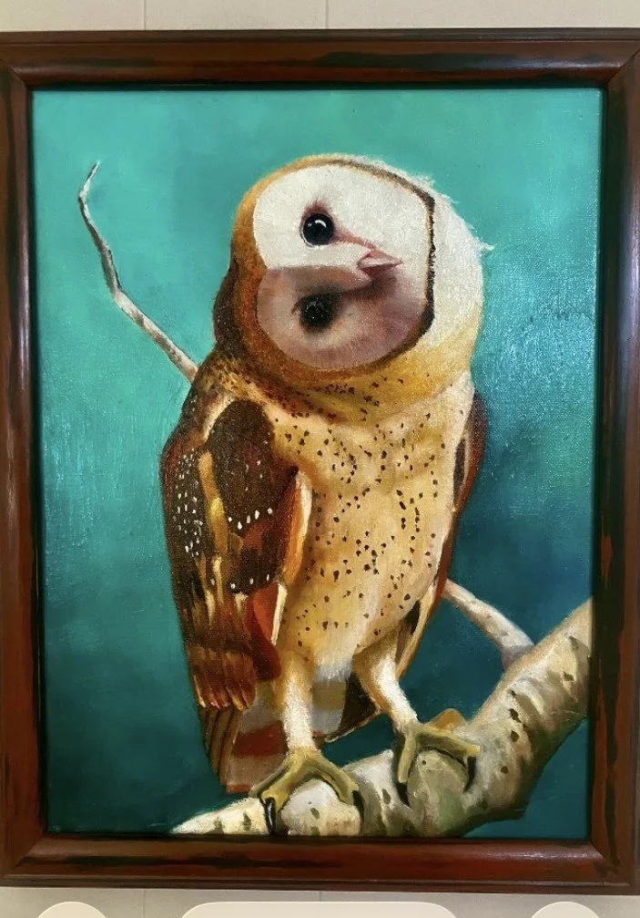 Barn Owl.jpeg