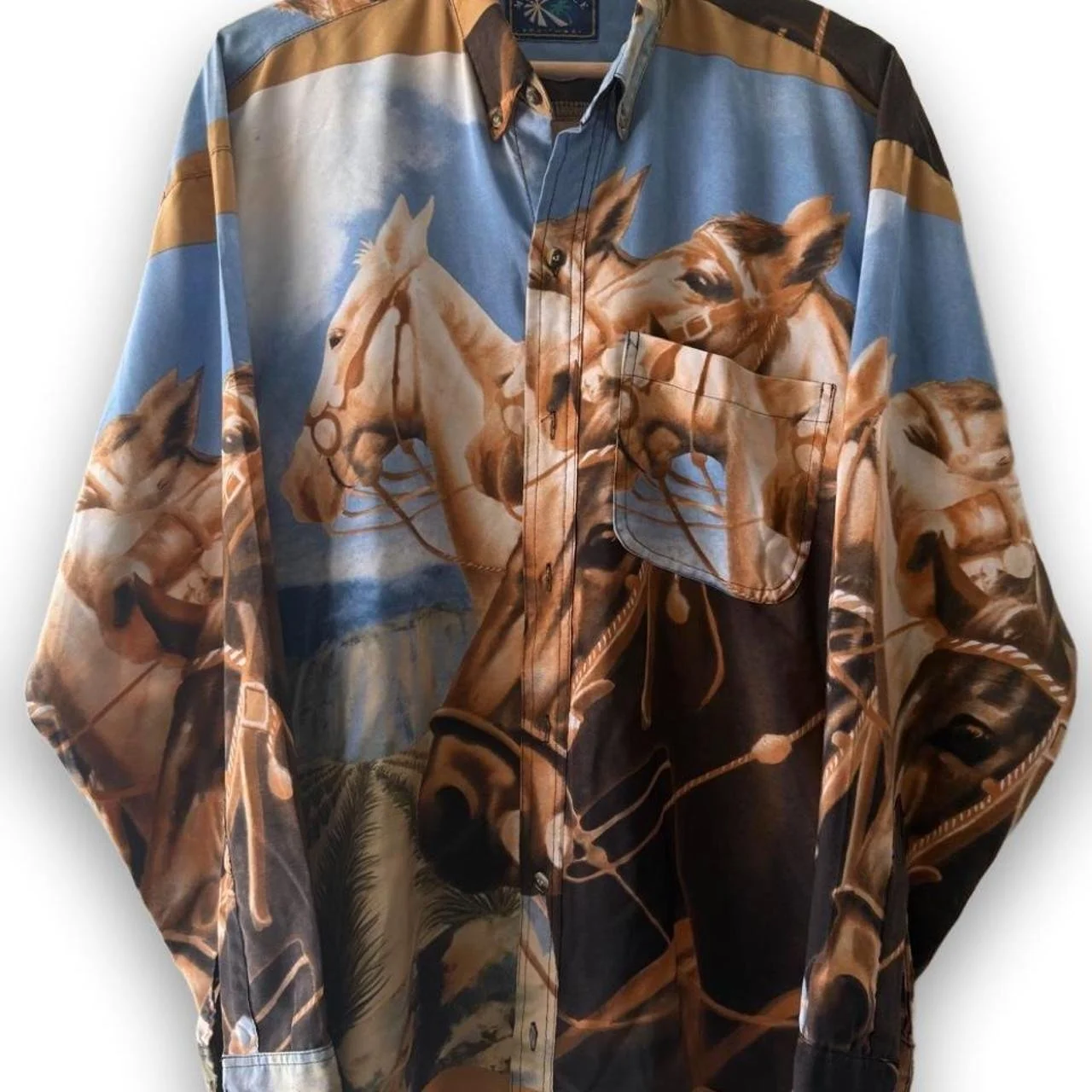 Western Style Button Up