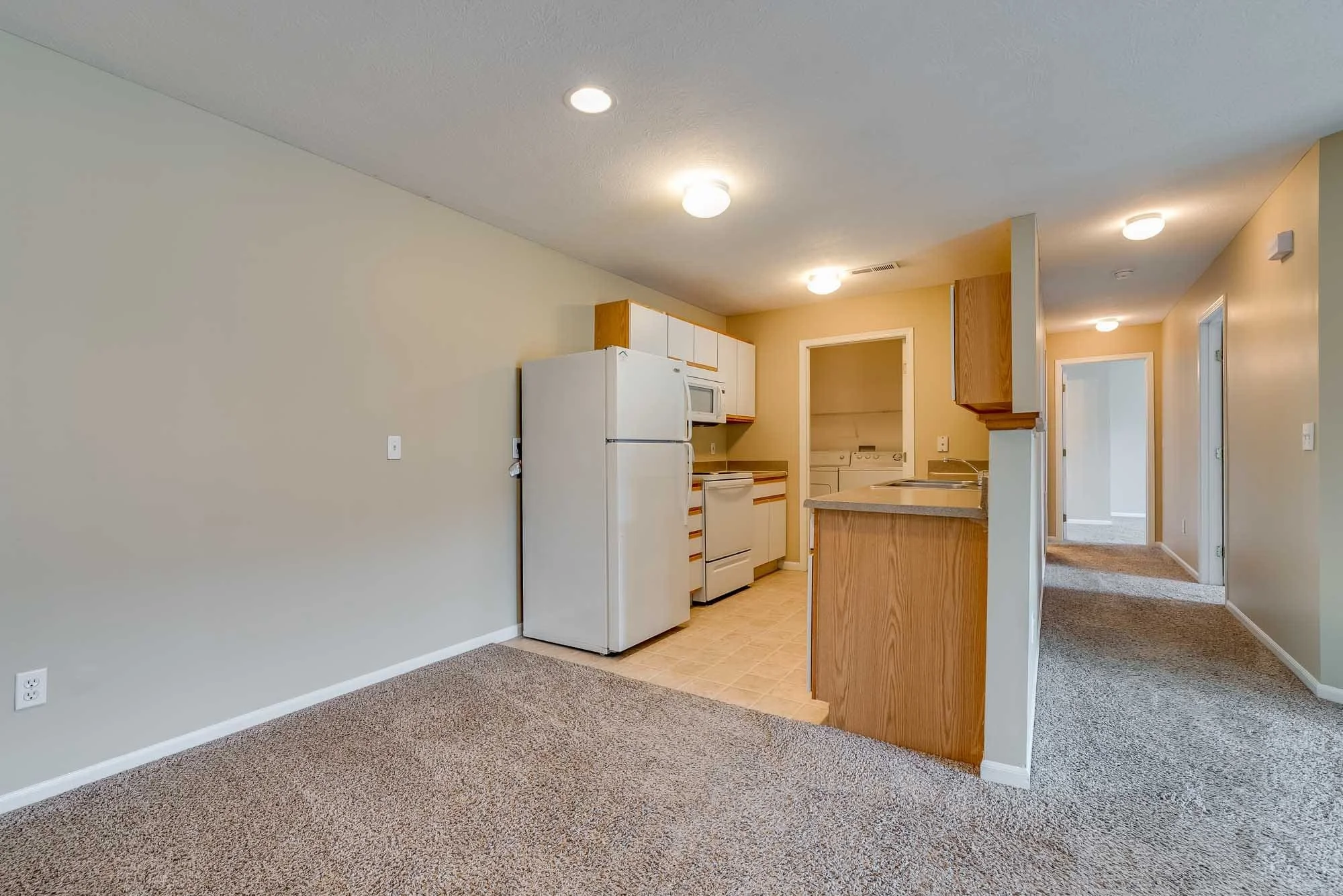 Interior of an apartment with a living area and kitchen. The living room has a beige carpet and light green wall, while the kitchen area features wooden cabinets, white appliances including a refrigerator and microwave, and tile floors. The space is 
