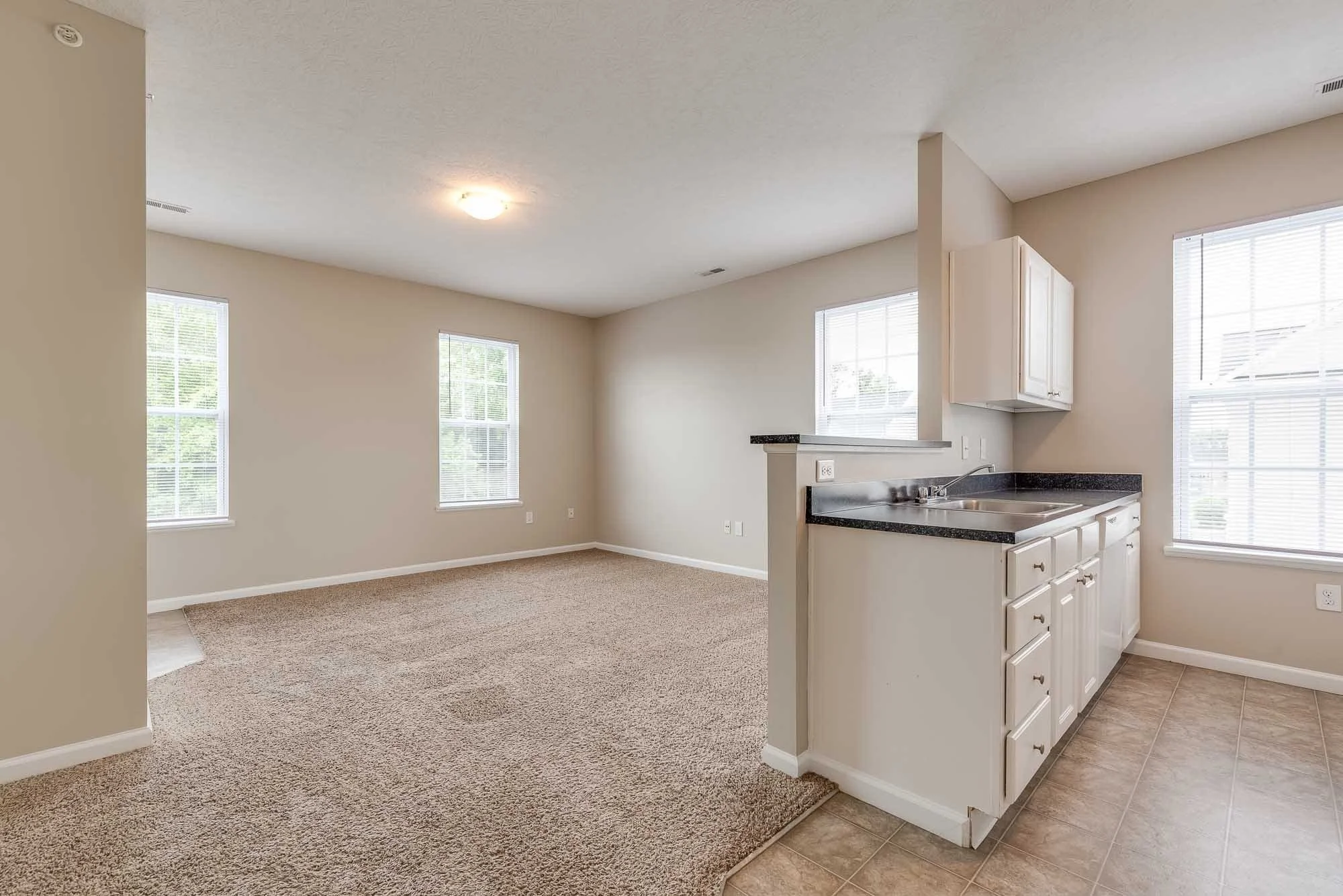 Empty living room with beige walls, carpeted floor, several large windows with blinds, and an open kitchen with white cabinets, a granite countertop, and a stainless steel sink.