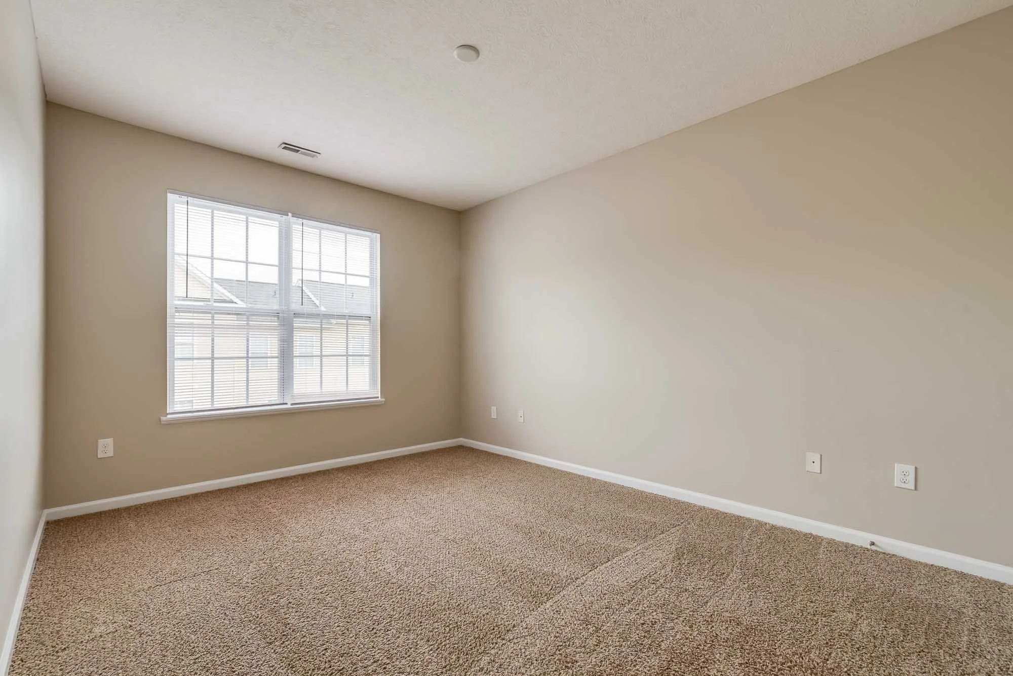 Empty room with beige carpet, beige walls, and a large window with white blinds.