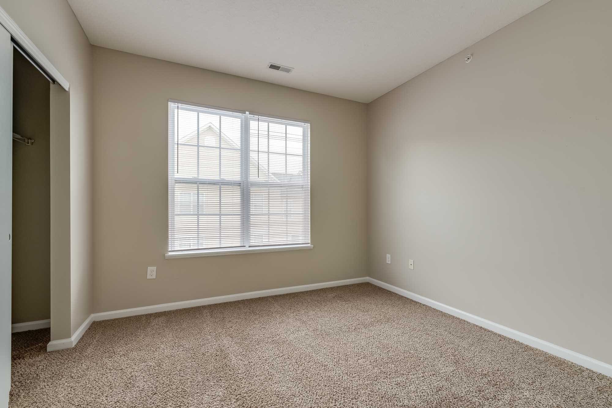 Empty room with beige walls, a large window with blinds, and a closet with sliding door, carpeted floor.