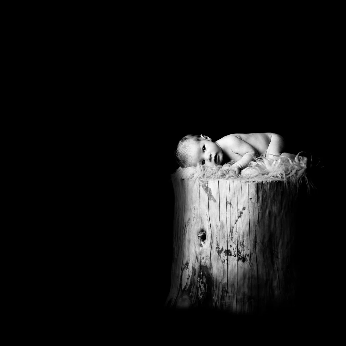 un bambino che dorme su un tronco, è stata battuta all’asta da Sotheby’s