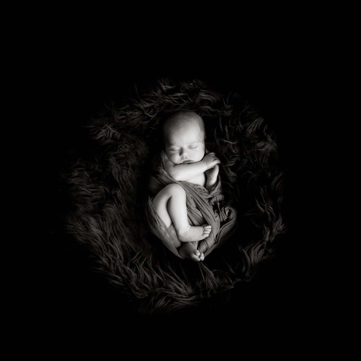 ritratto addormentato fotografato in studio su pelliccia scura. foto in bianco e nero