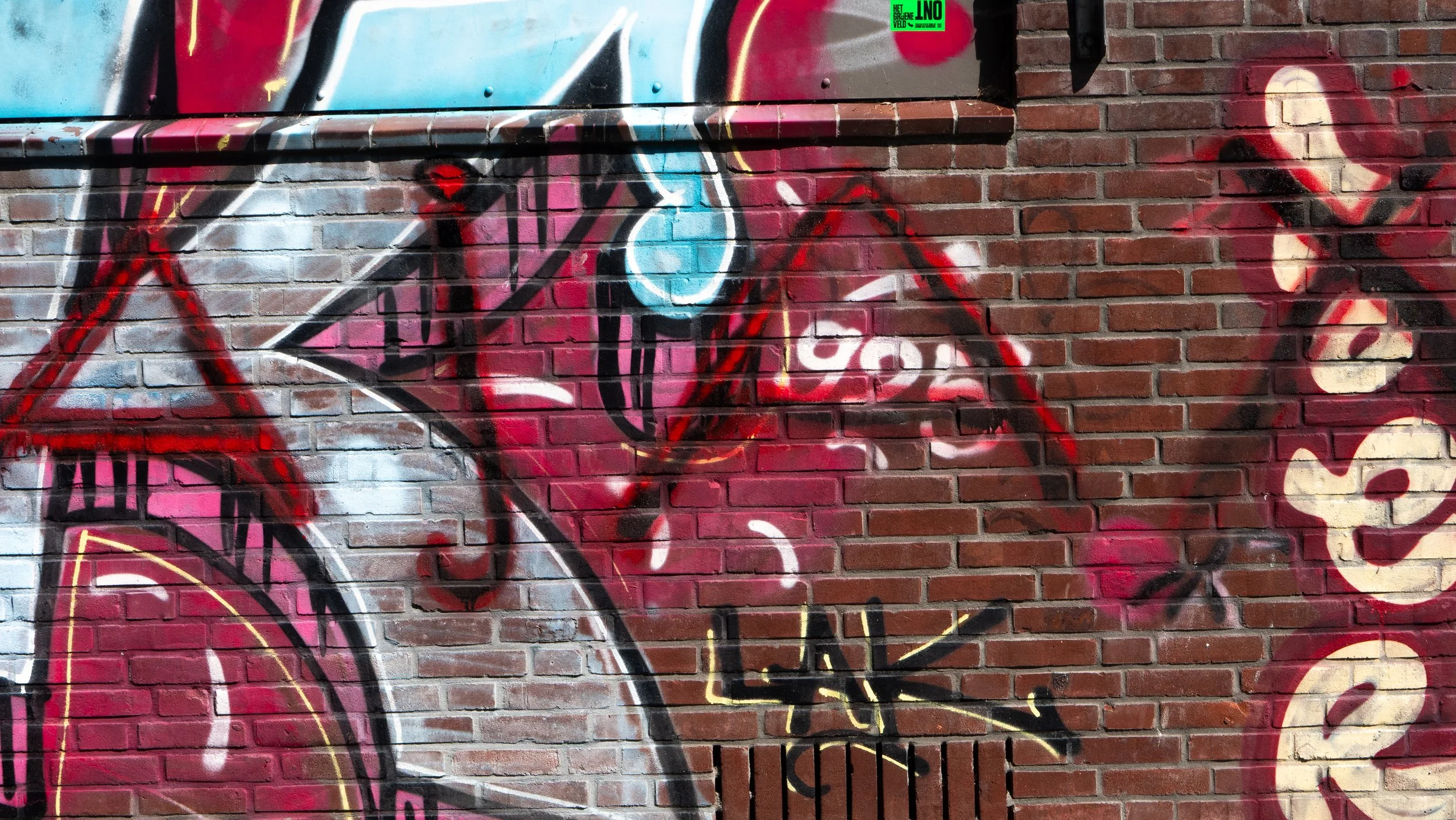 P1655202-2.jpg