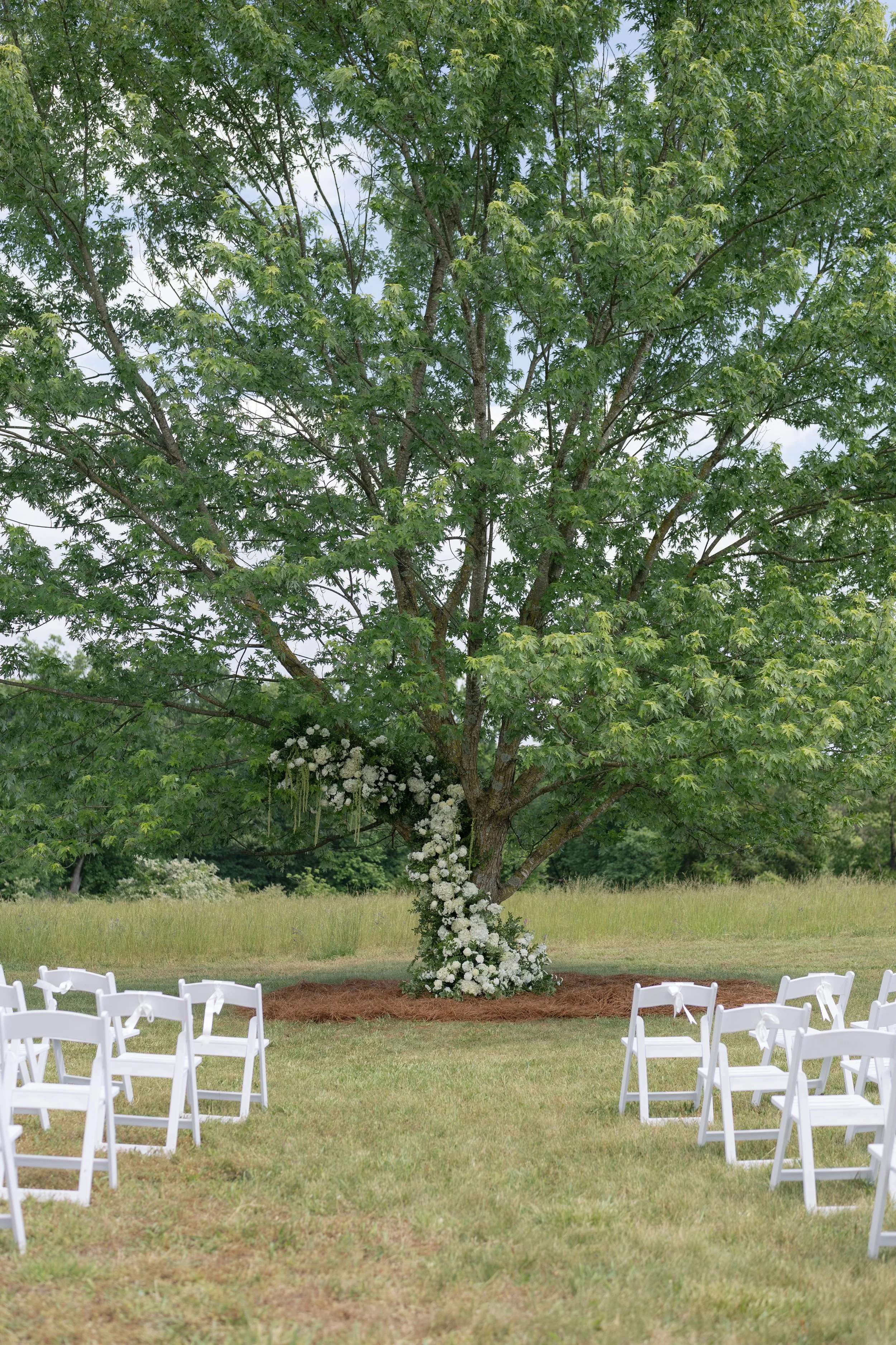 Outdoor wedding ceremony setup with white chairs and a tree decorated with cascading white flowers in a grassy field