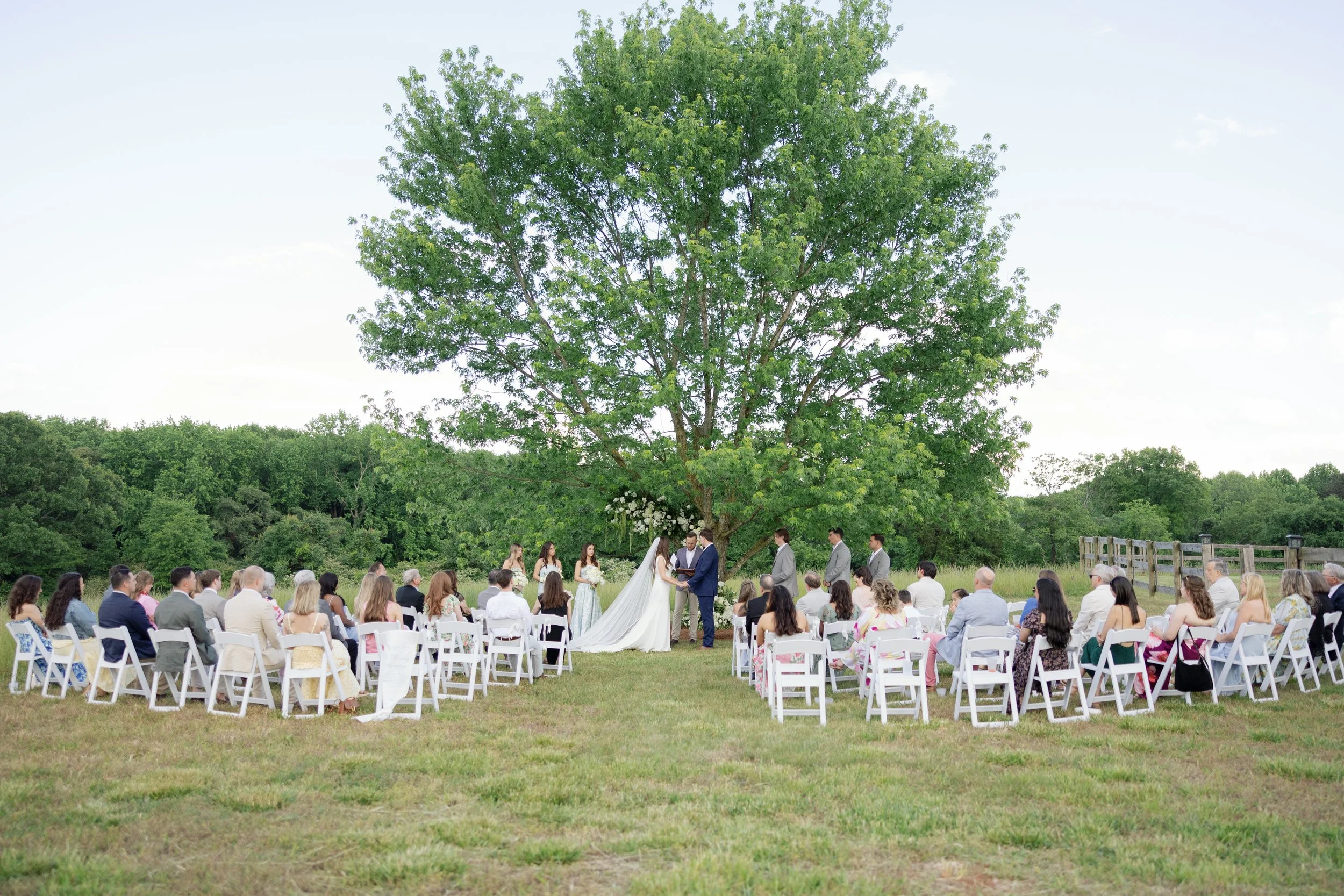 Outdoor wedding ceremony with bride and groom under a large tree, surrounded by attendants and seated guests in a grassy meadow