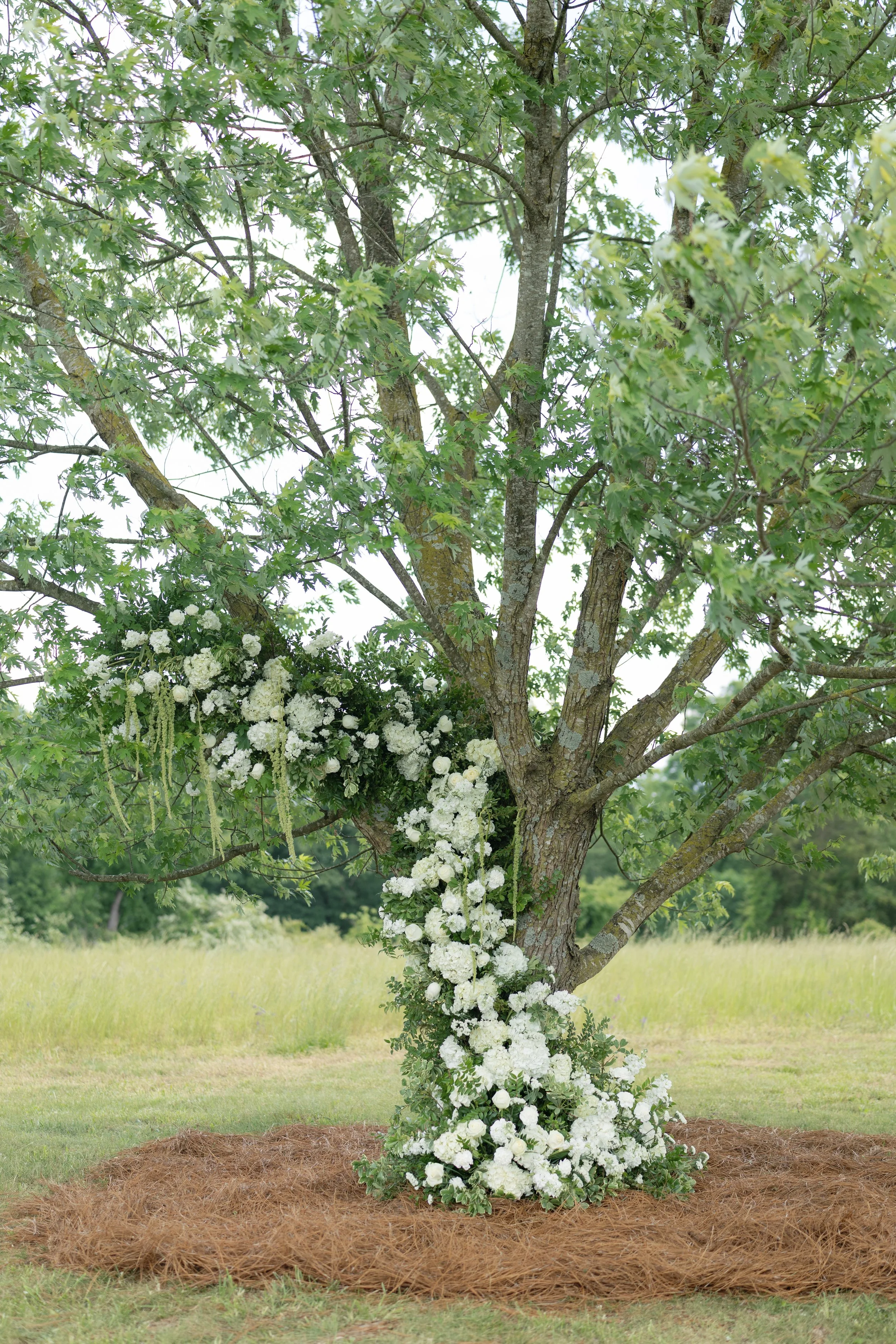 White floral wedding arrangement wrapped around a large tree in a grassy outdoor setting