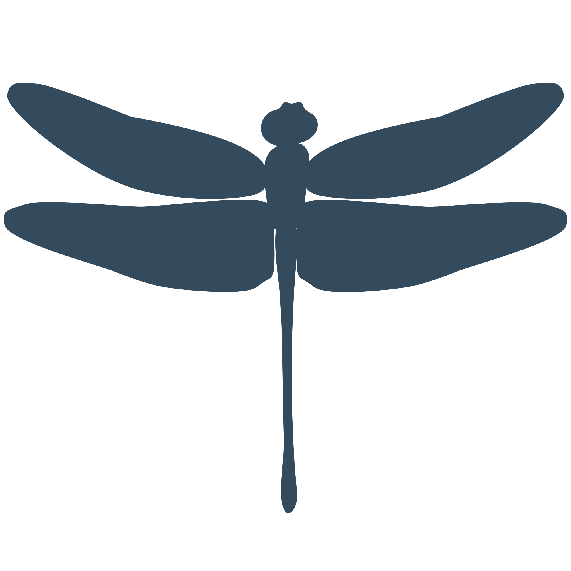 Silhouette of a dragonfly with outstretched wings above a water surface.