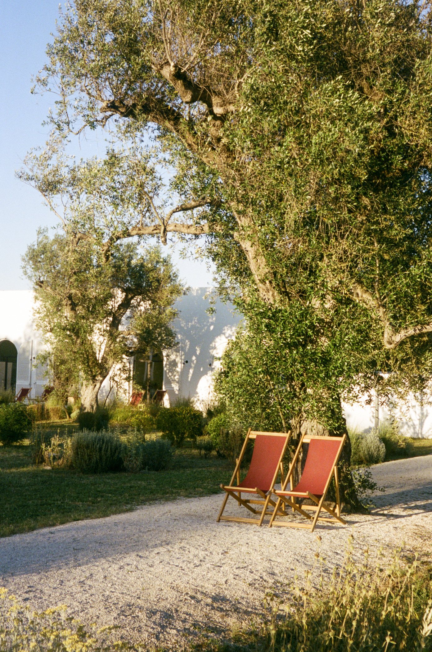 puglia-optimized-19.jpg