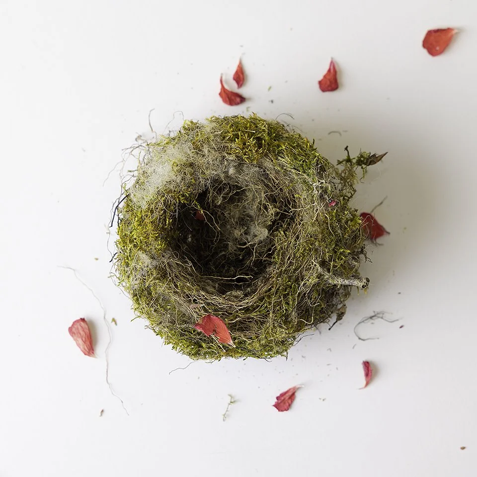 Moss and Petals